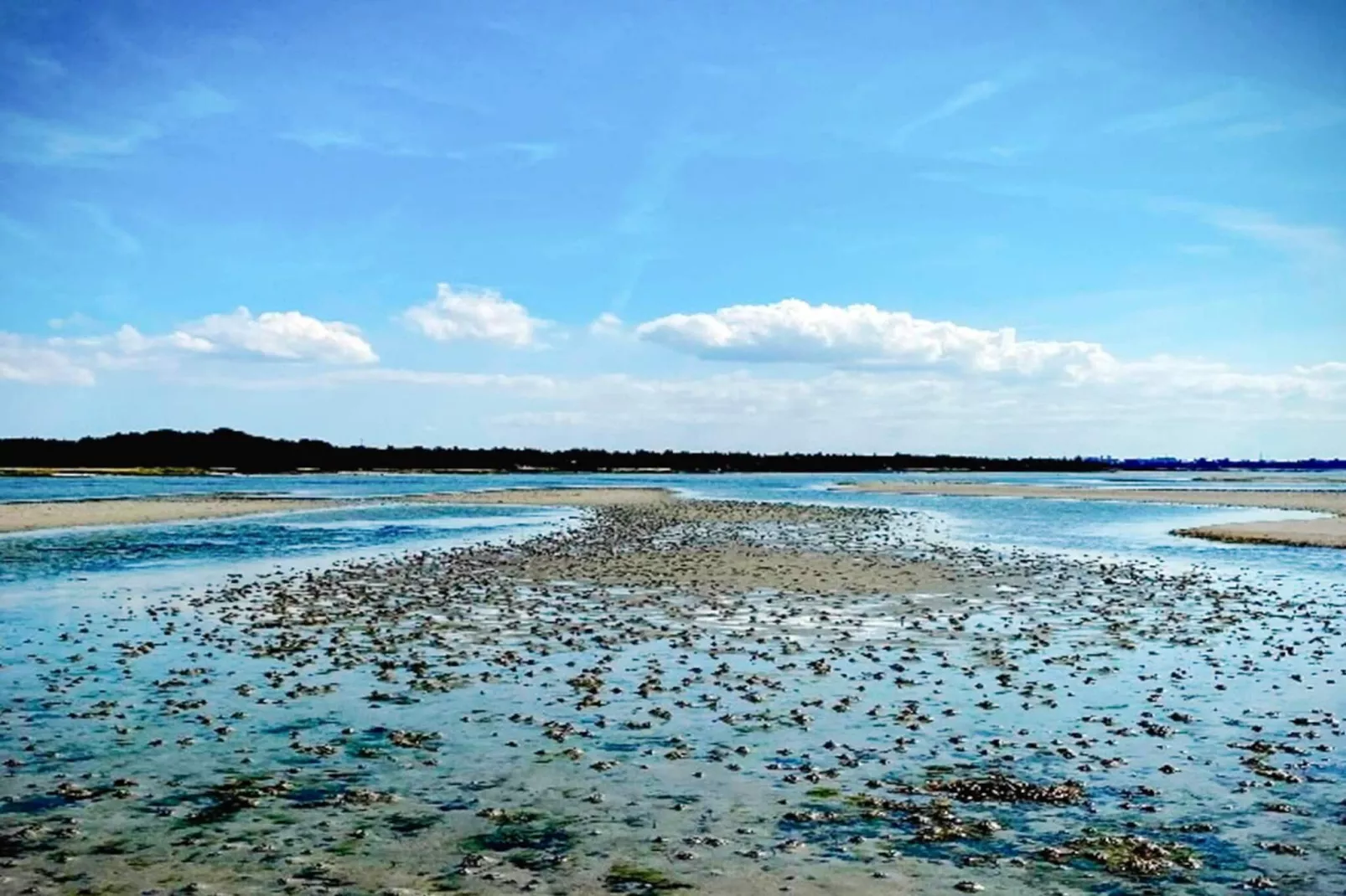 4 Personen Ferienhaus in Jægerspris-By Traum-Wasserblick