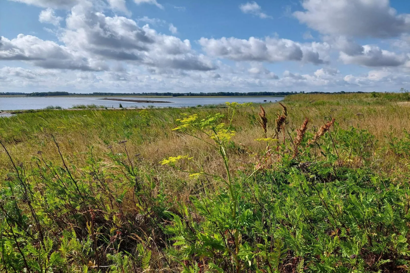 8 Personen Ferienhaus in Bogense-By Traum-Wasserblick