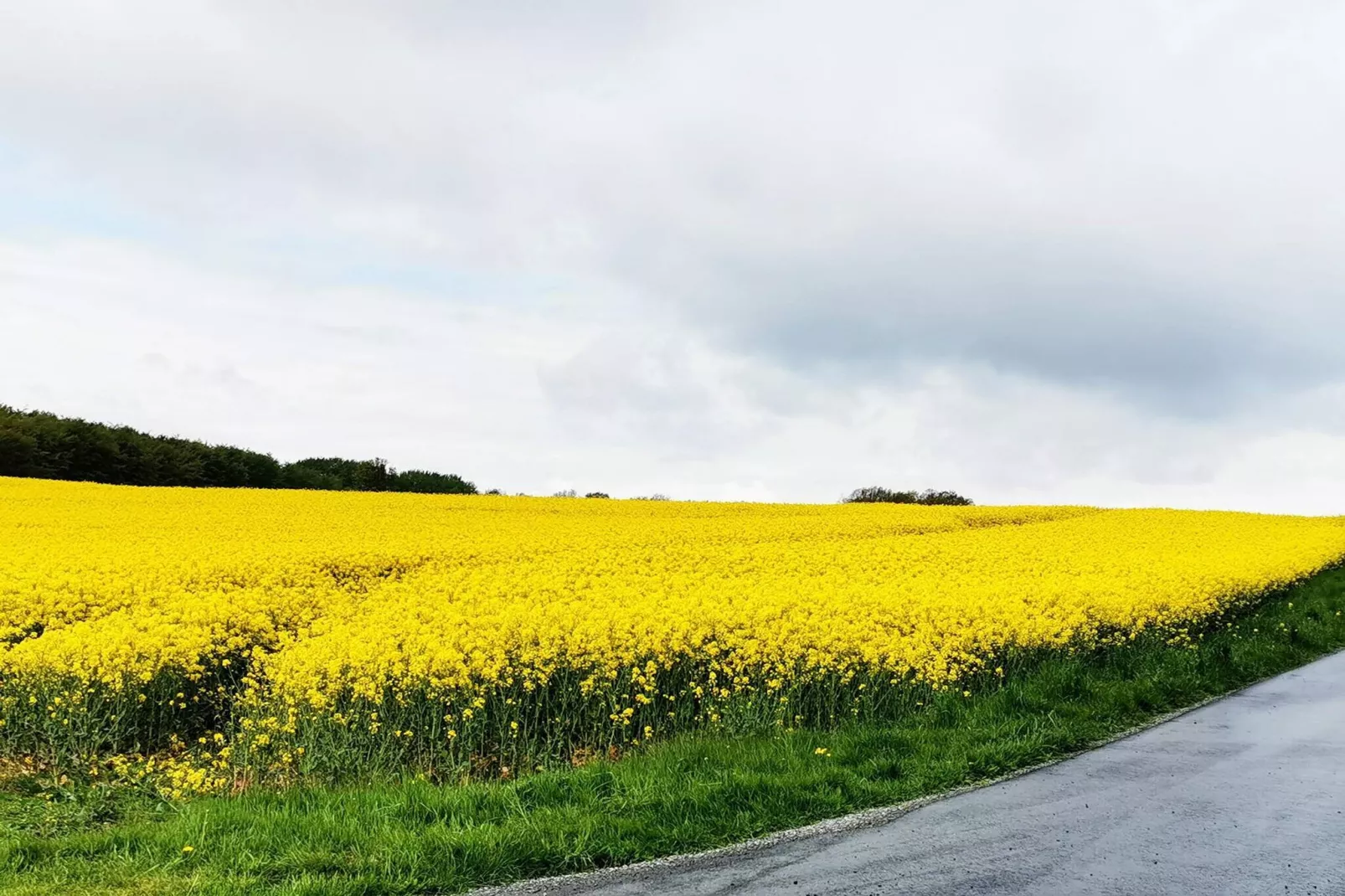 Maison de vacances pour 6 a Tranekær-By Traum-Vue sur l'eau