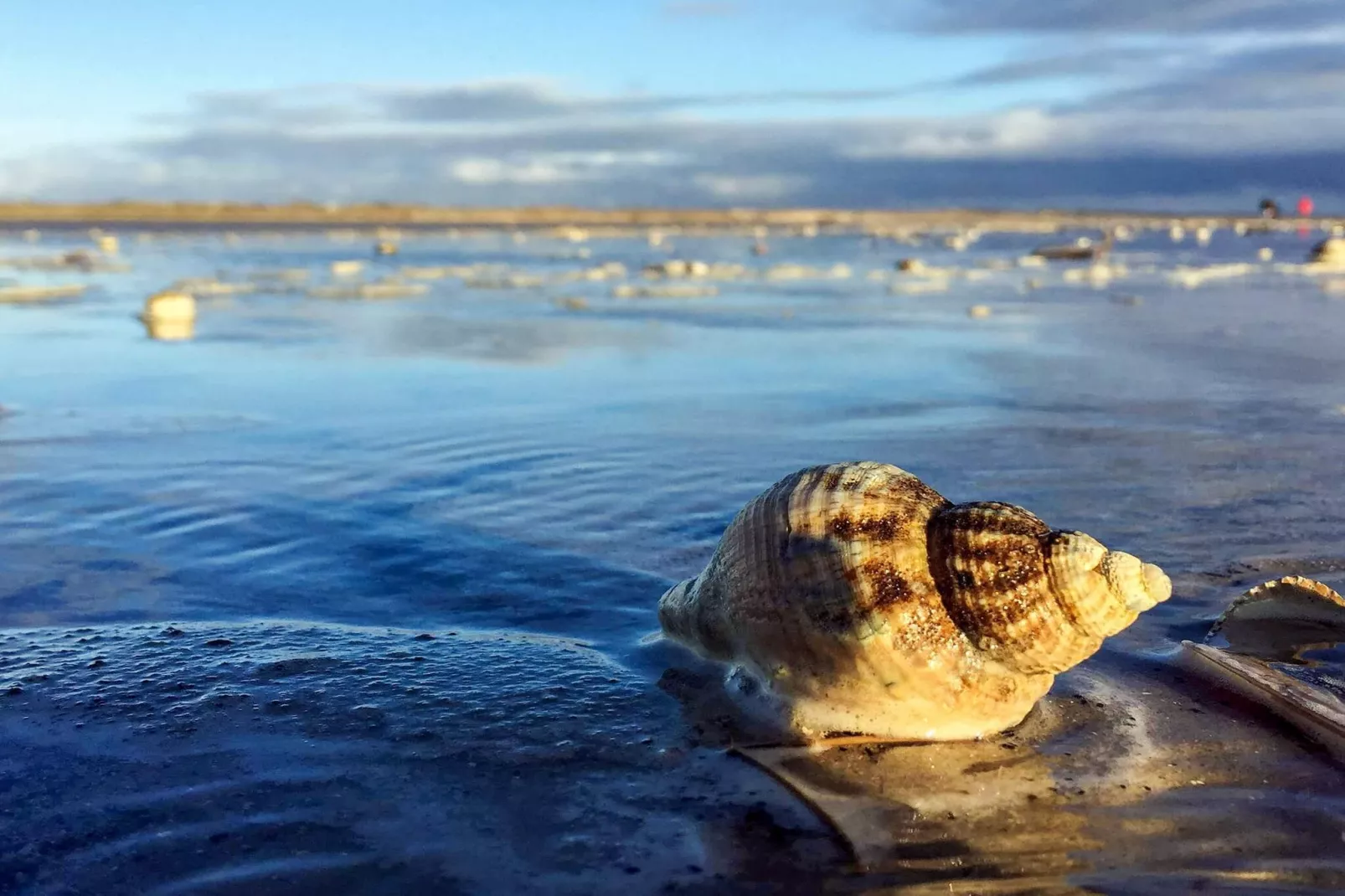 12 person holiday home in Fanø-By Traum-Water view