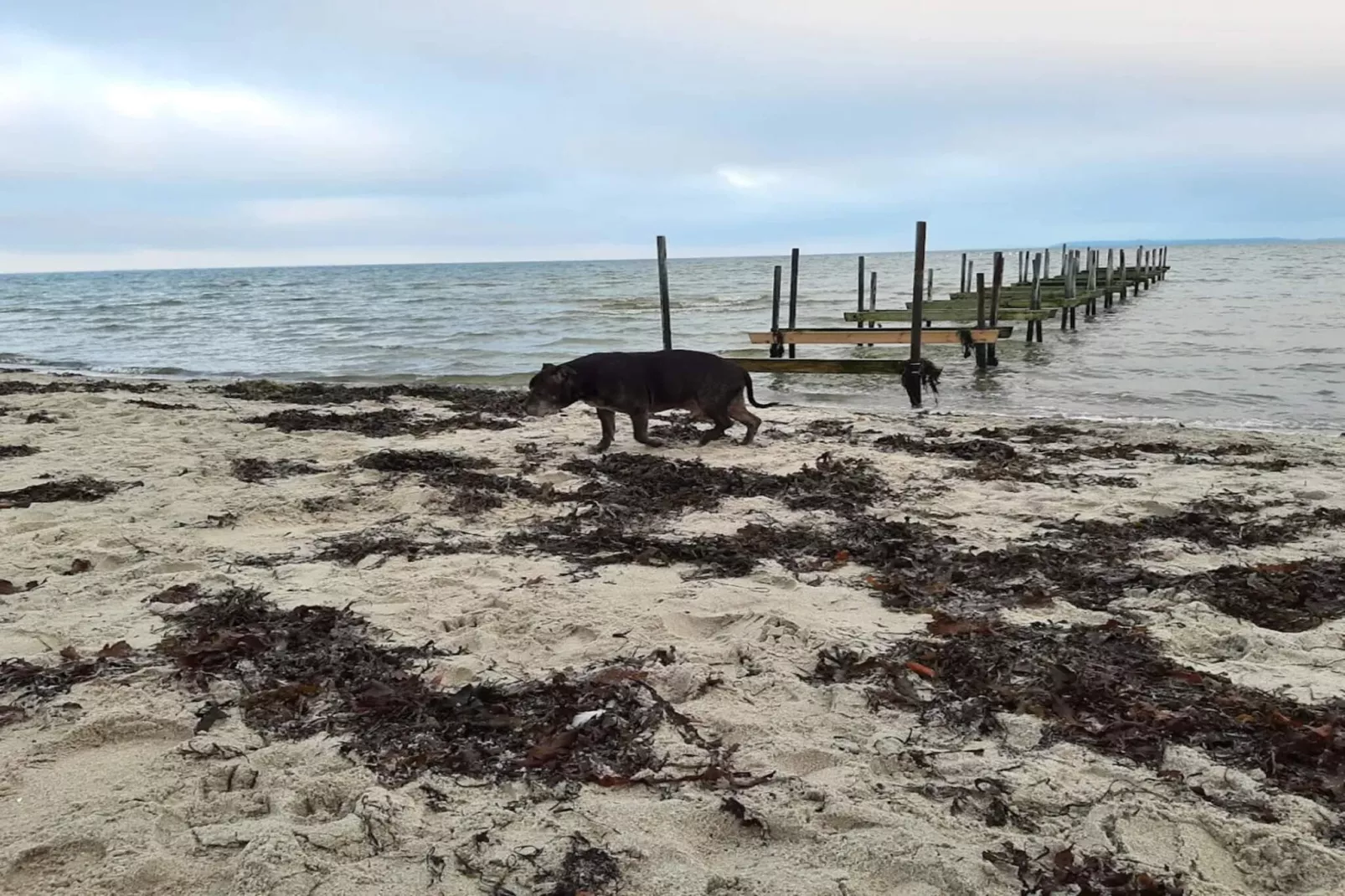 6 person holiday home in Hejls-By Traum-Water view