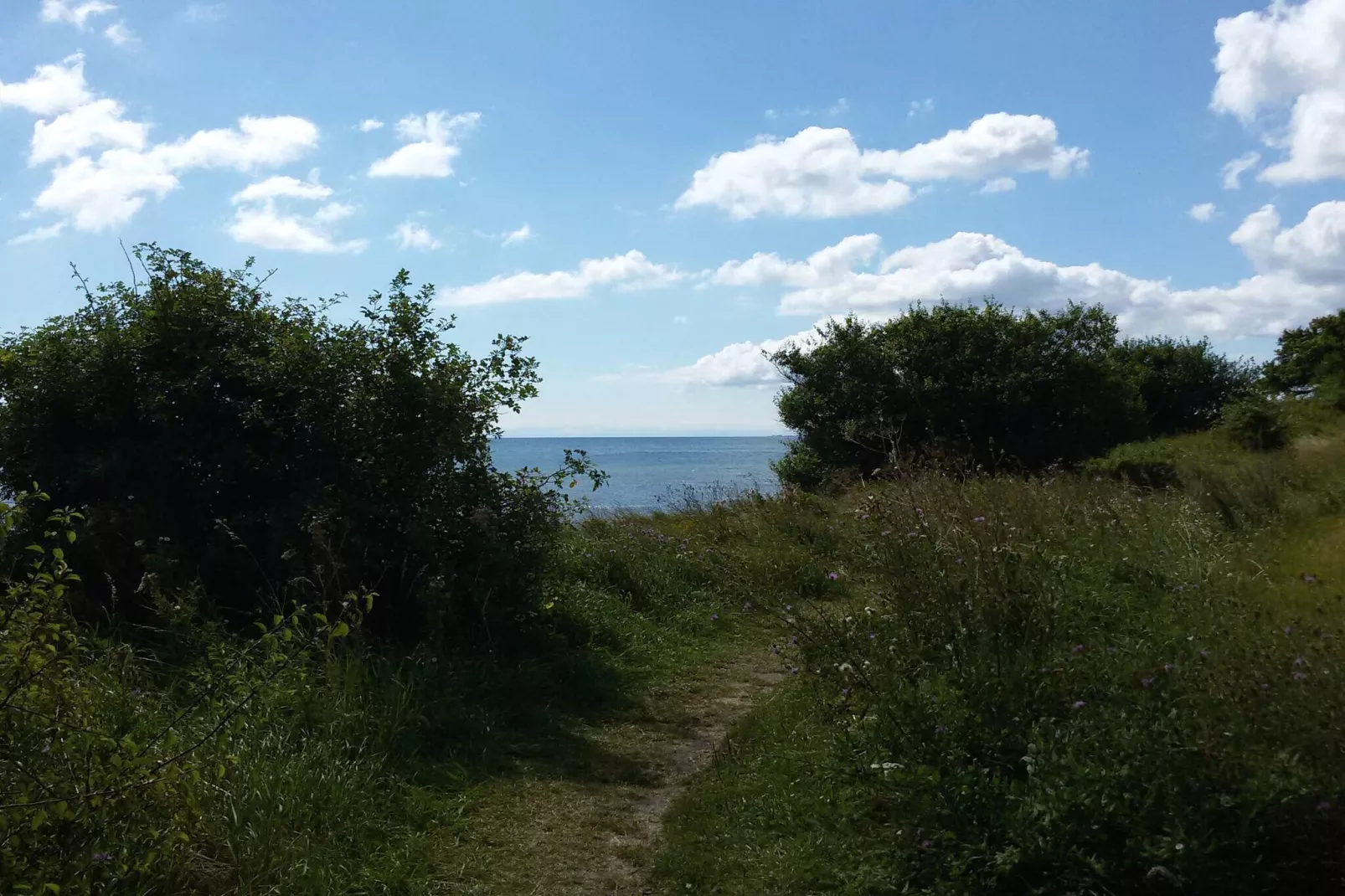 Tranquil Beach Retreat - By Traum-Untagged