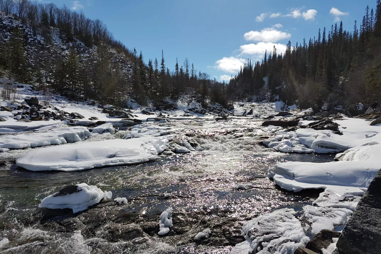 Rotes Bauernhaus in der Nähe von Forsheda-Wasserblick