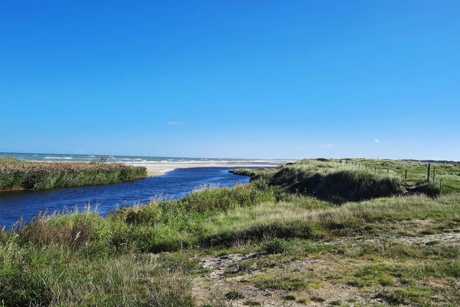 6 Personen Ferienhaus in Bindslev-By Traum-Wasserblick