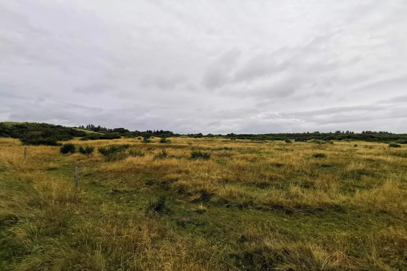 4 Personen Ferienhaus in Skjern-By Traum-Nicht zugeordnet