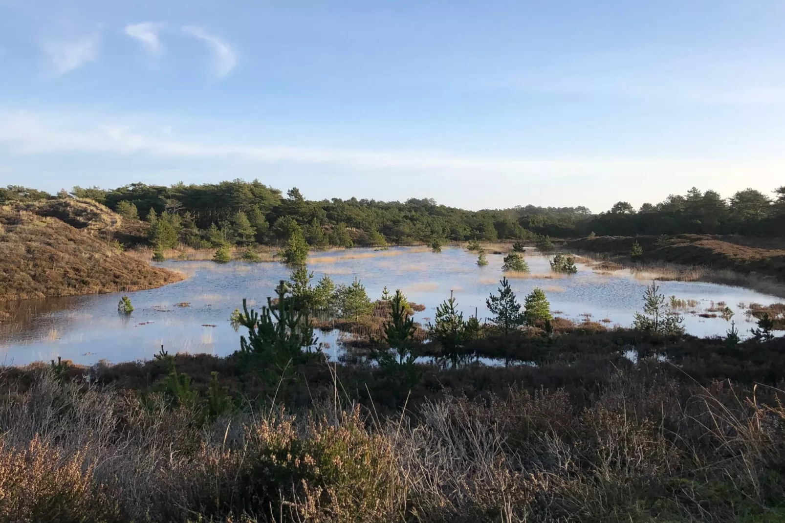 Maison de vacances pour 8 a Rømø-By Traum