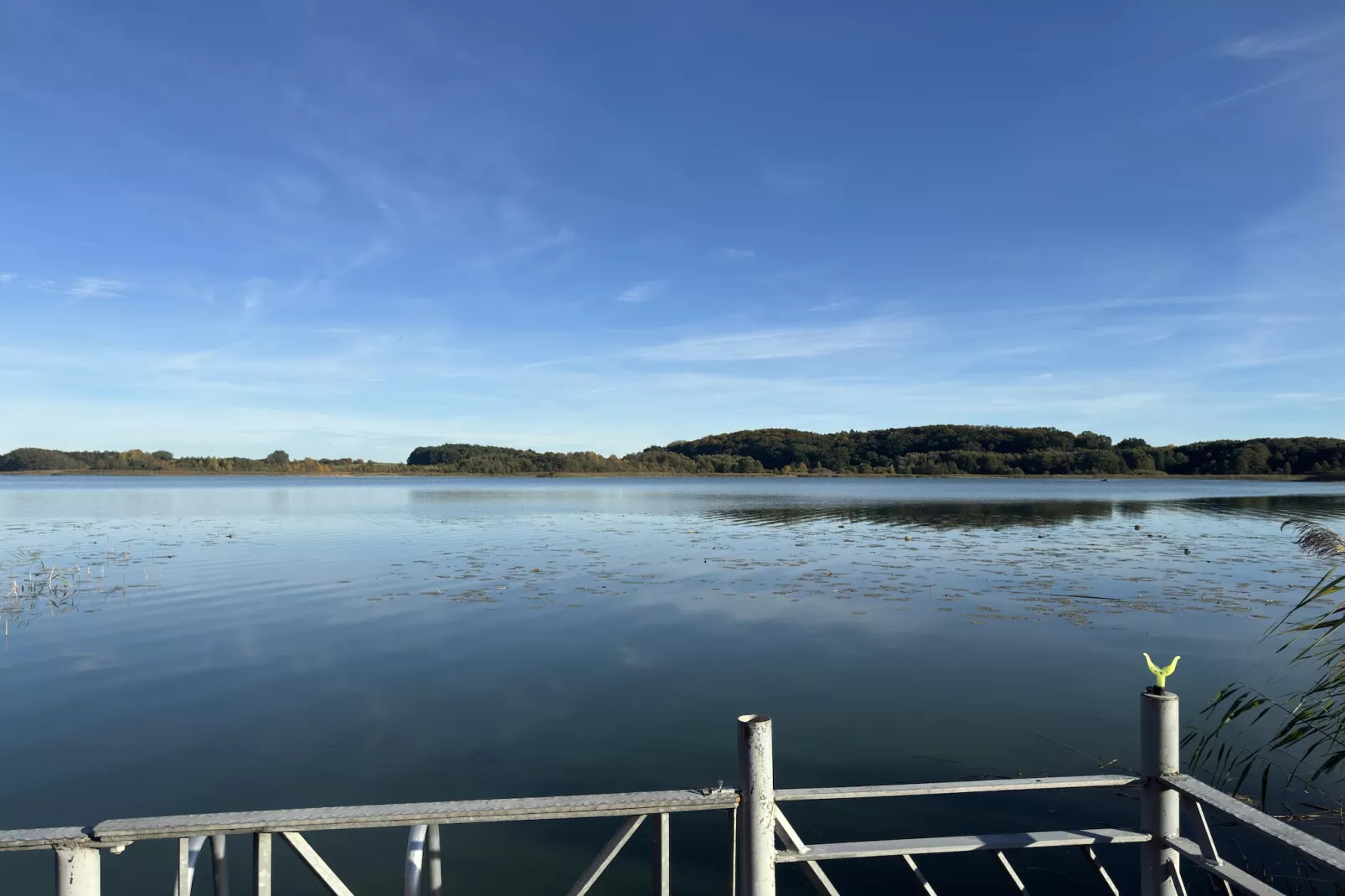 Bootshaus direkt am See mit eigenem Steg-Aussicht Sommer
