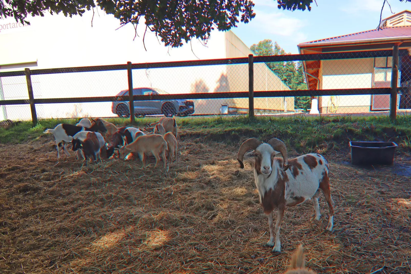 Haus Oliver 200 qm / 1-2 Personen-Gardens in summer