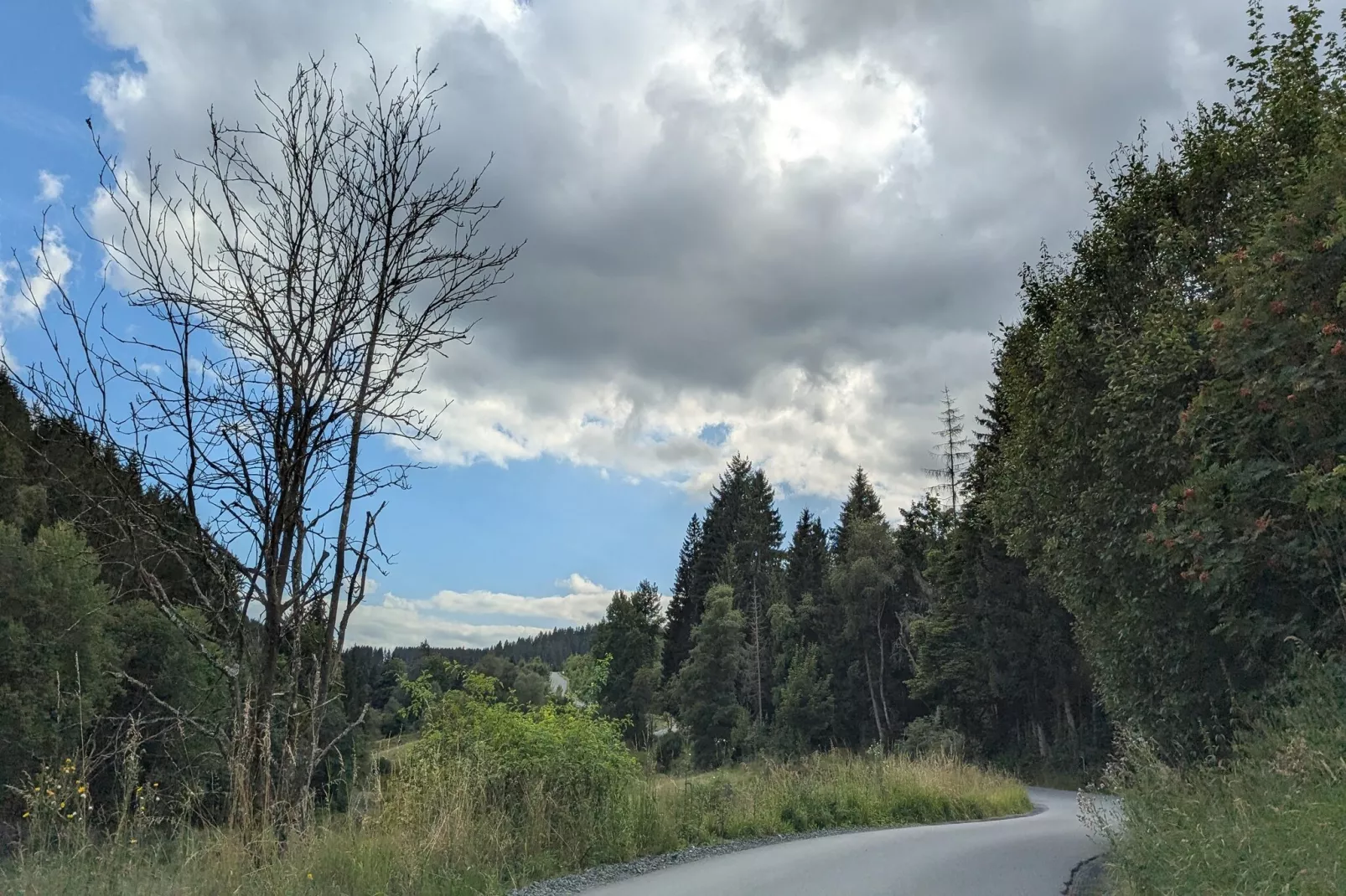 Am Südhang 11-Gebiete Sommer 5 km