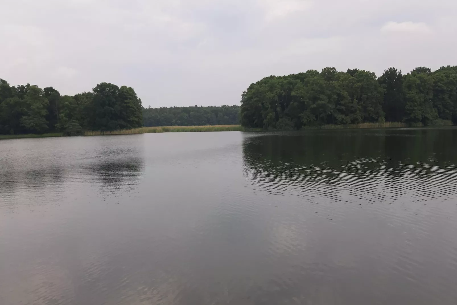 Ferienwohnung 40 qm-Zones été à 5 km