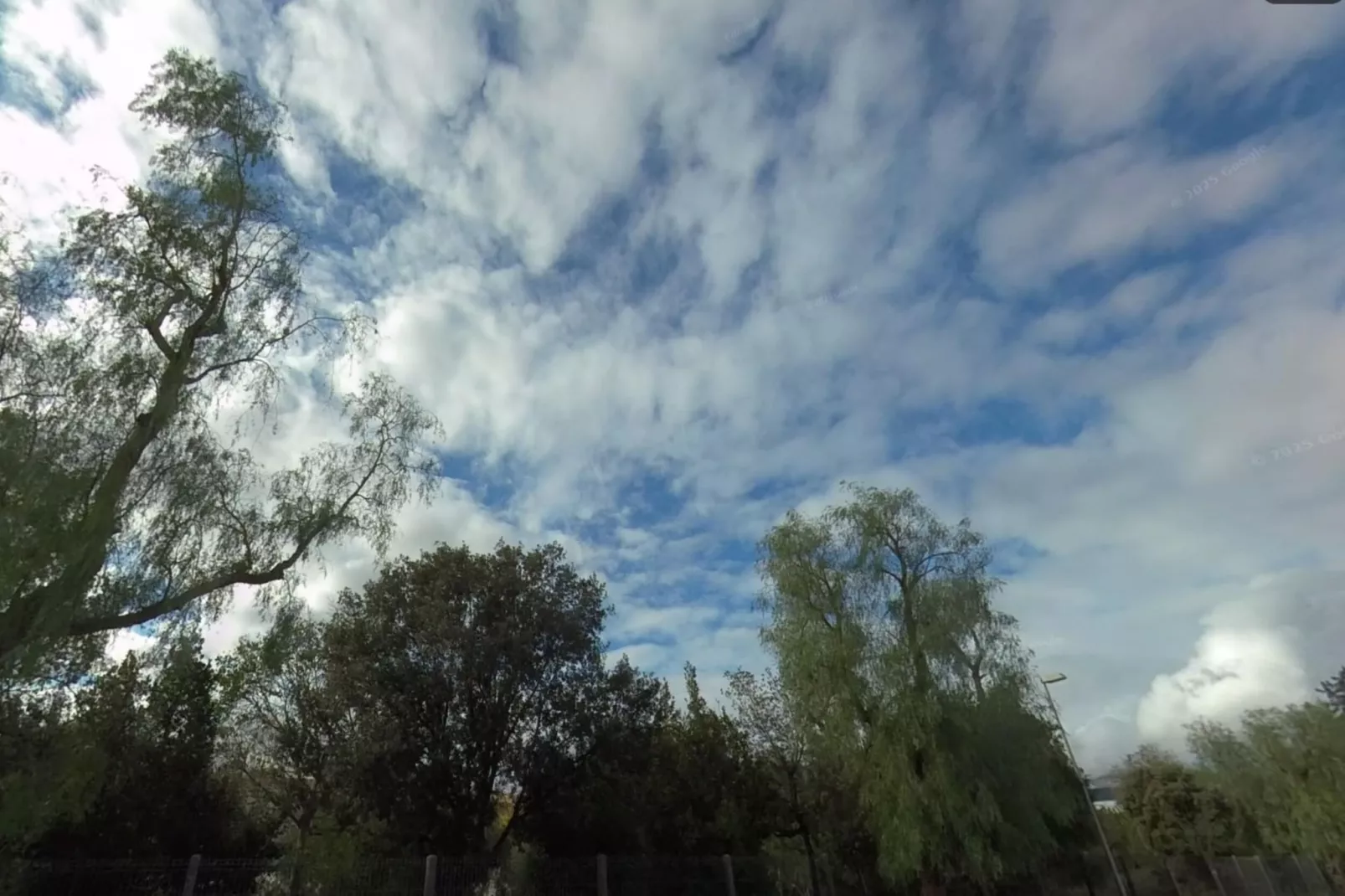 Can Serra-Areas within 5km in summer