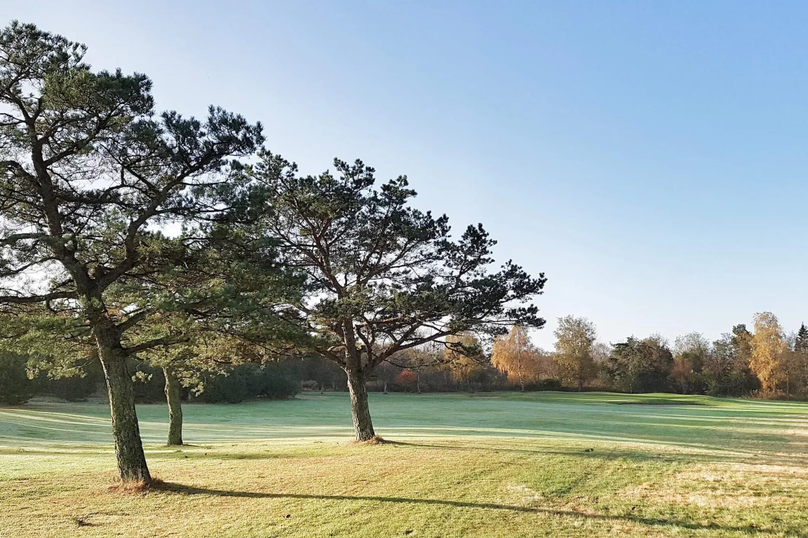 6 person holiday home in Nibe-By Traum-Untagged