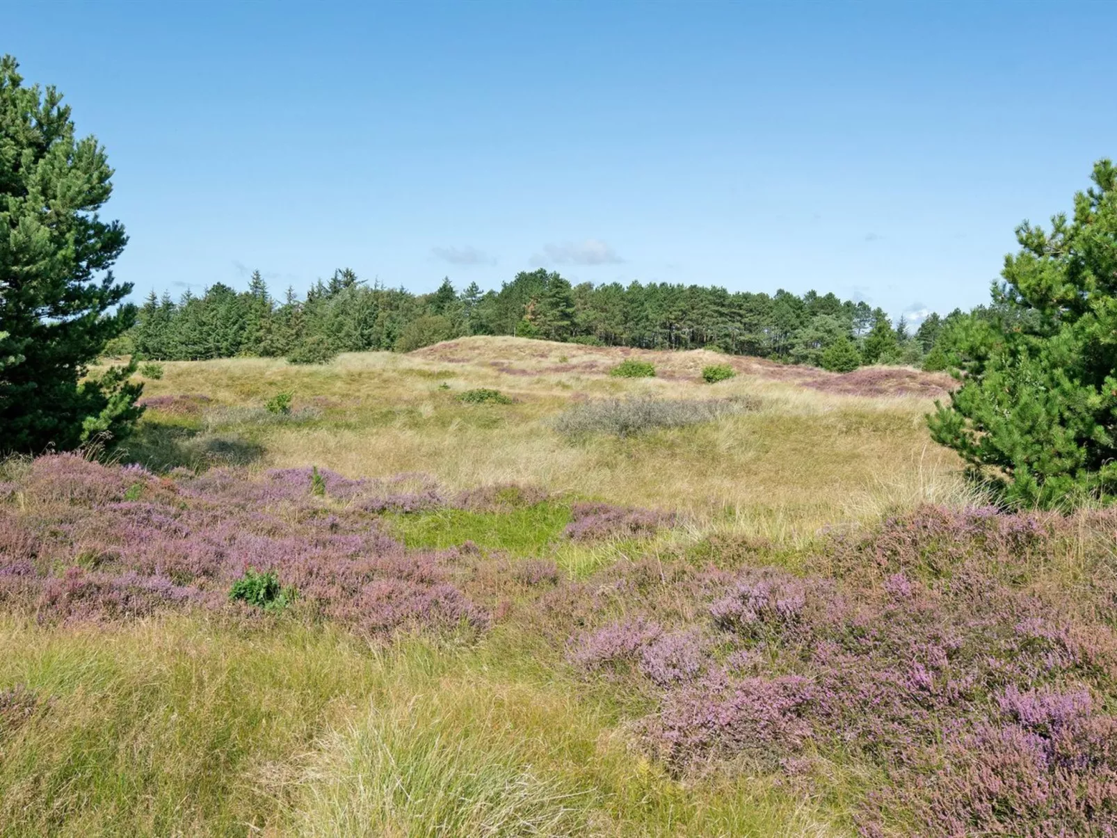 "Siegried" - 2.2km from the sea-Outside