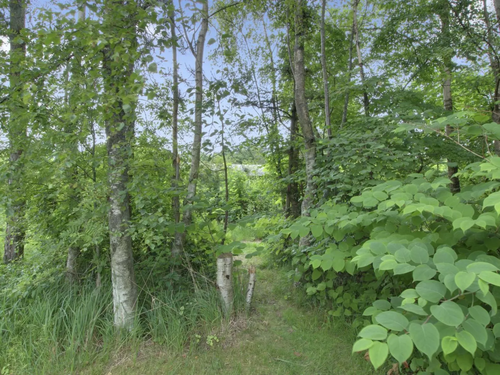 "Gerasim" - 400m from the sea-Dehors