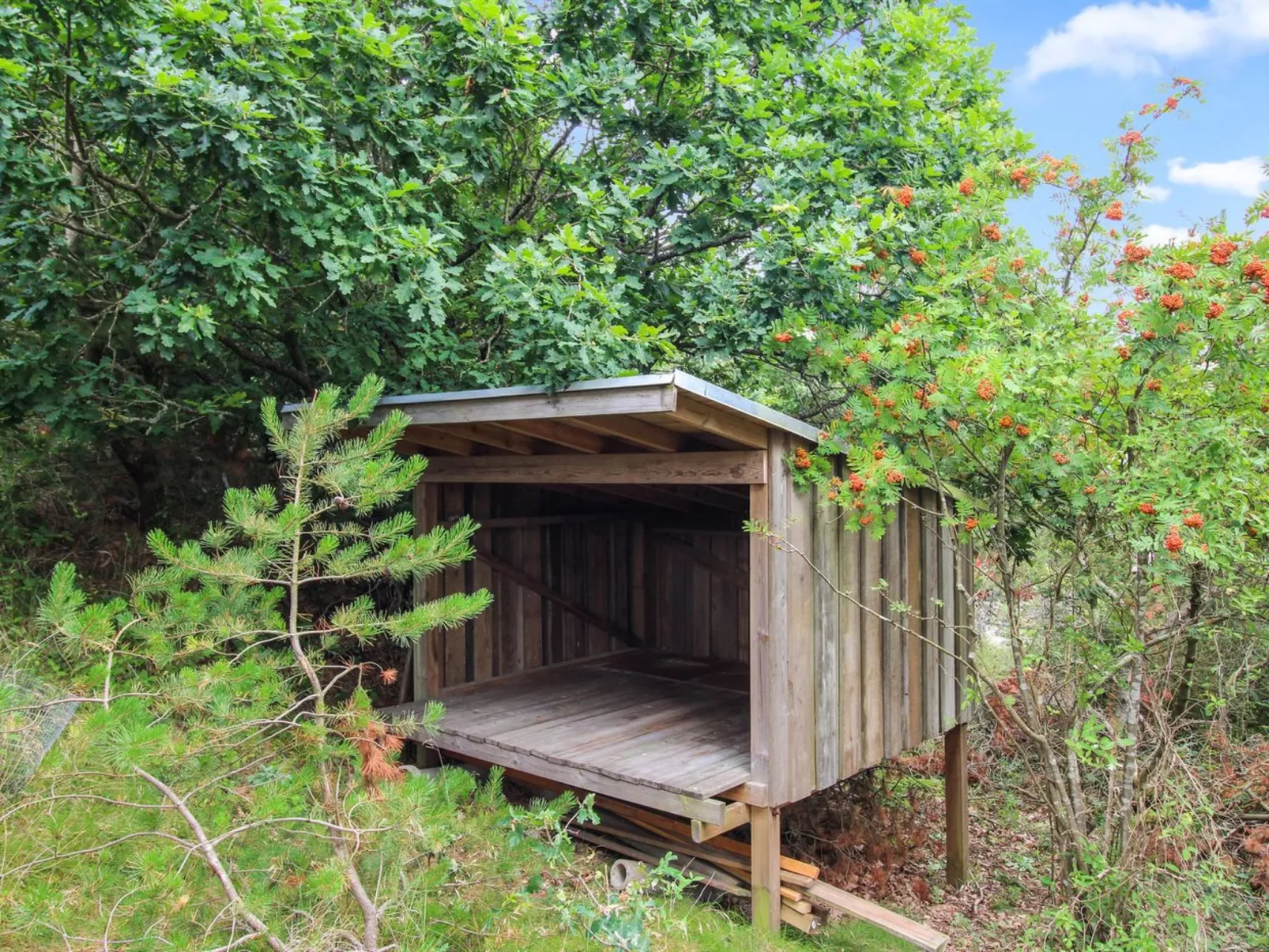 "Svenja" - 600m from the sea-Dehors