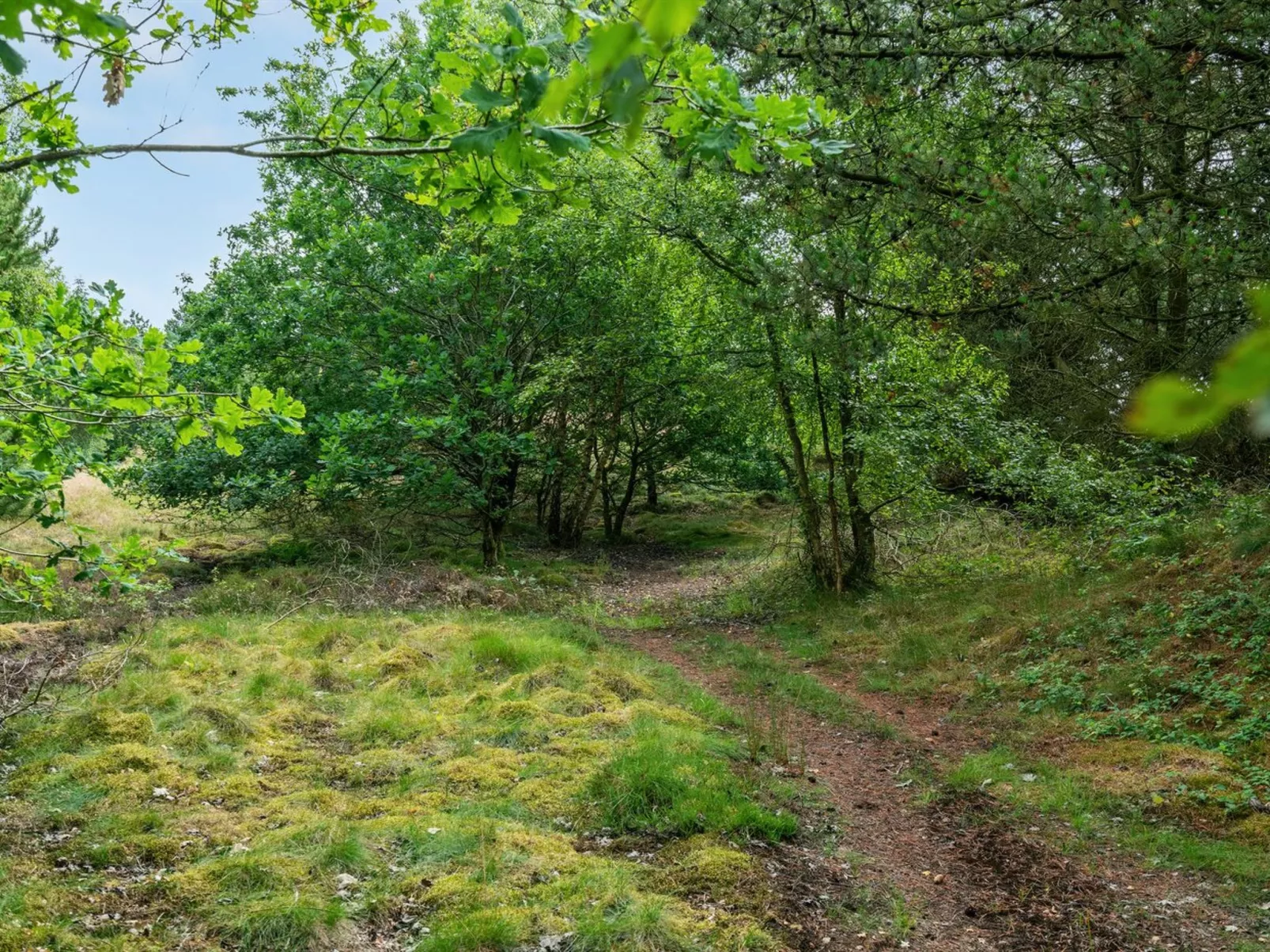 "Gwen" - 2.7km from the sea-Dehors