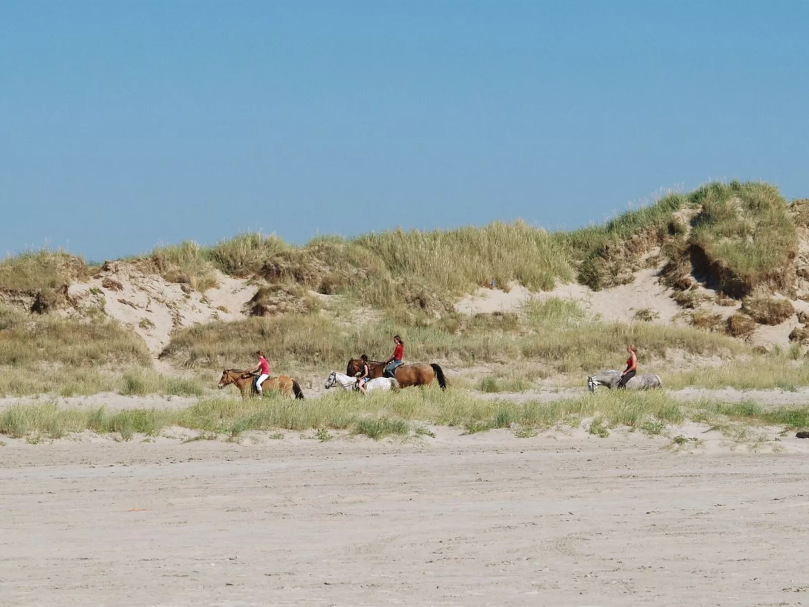 "Lotte" - 2.3km from the sea - Outside