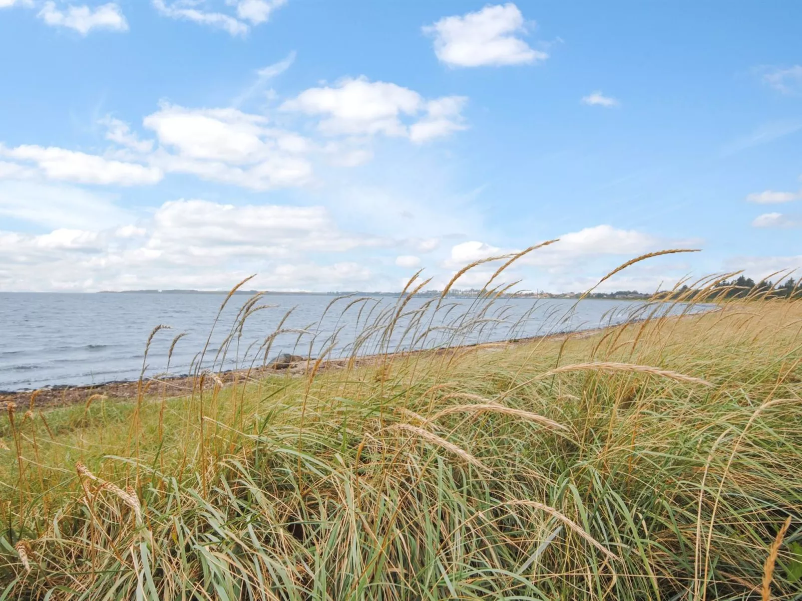 "Eisa" - 300m to the fjord-Outside