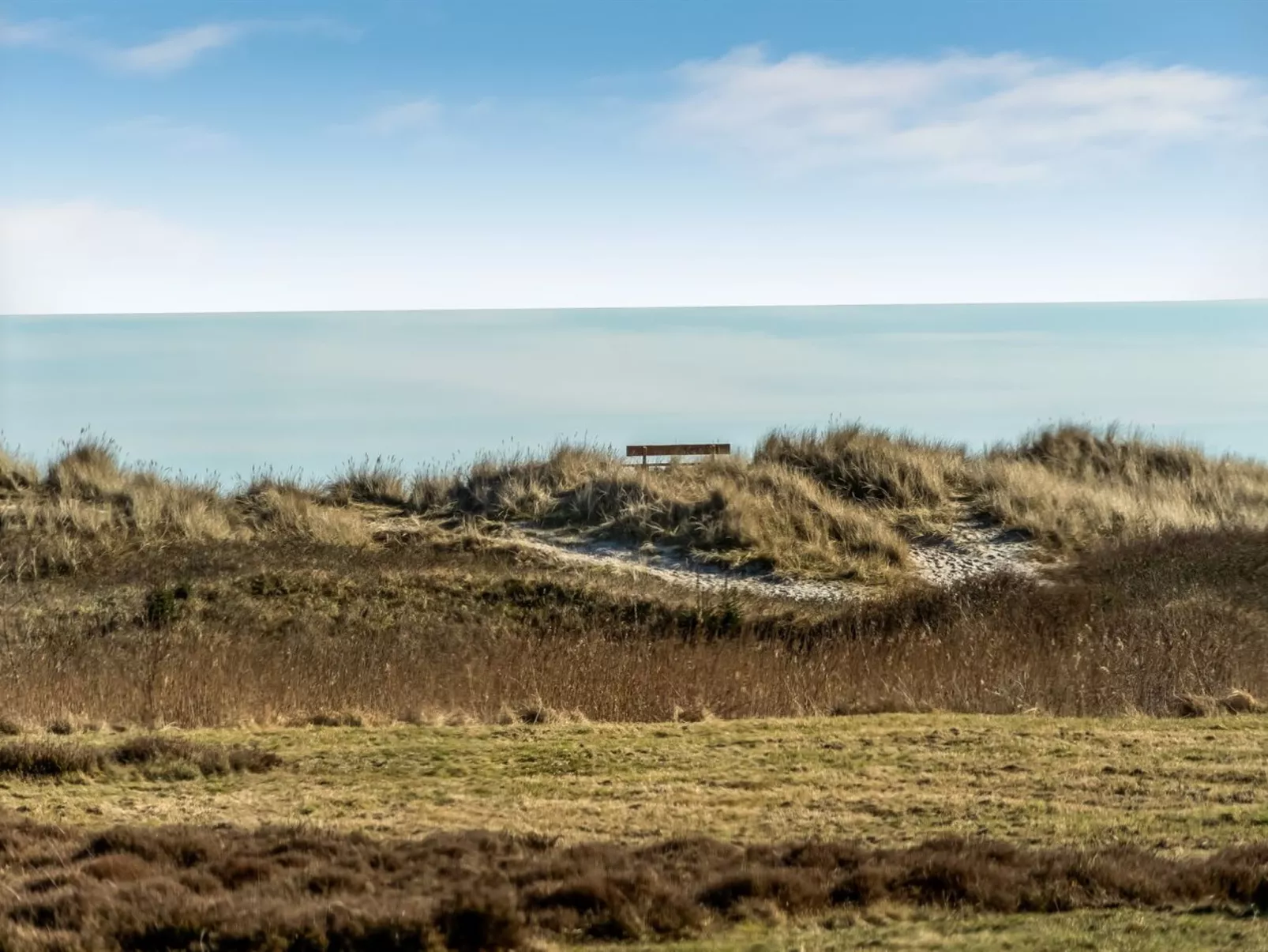 "Jyrki" - 100m from the sea-Draußen