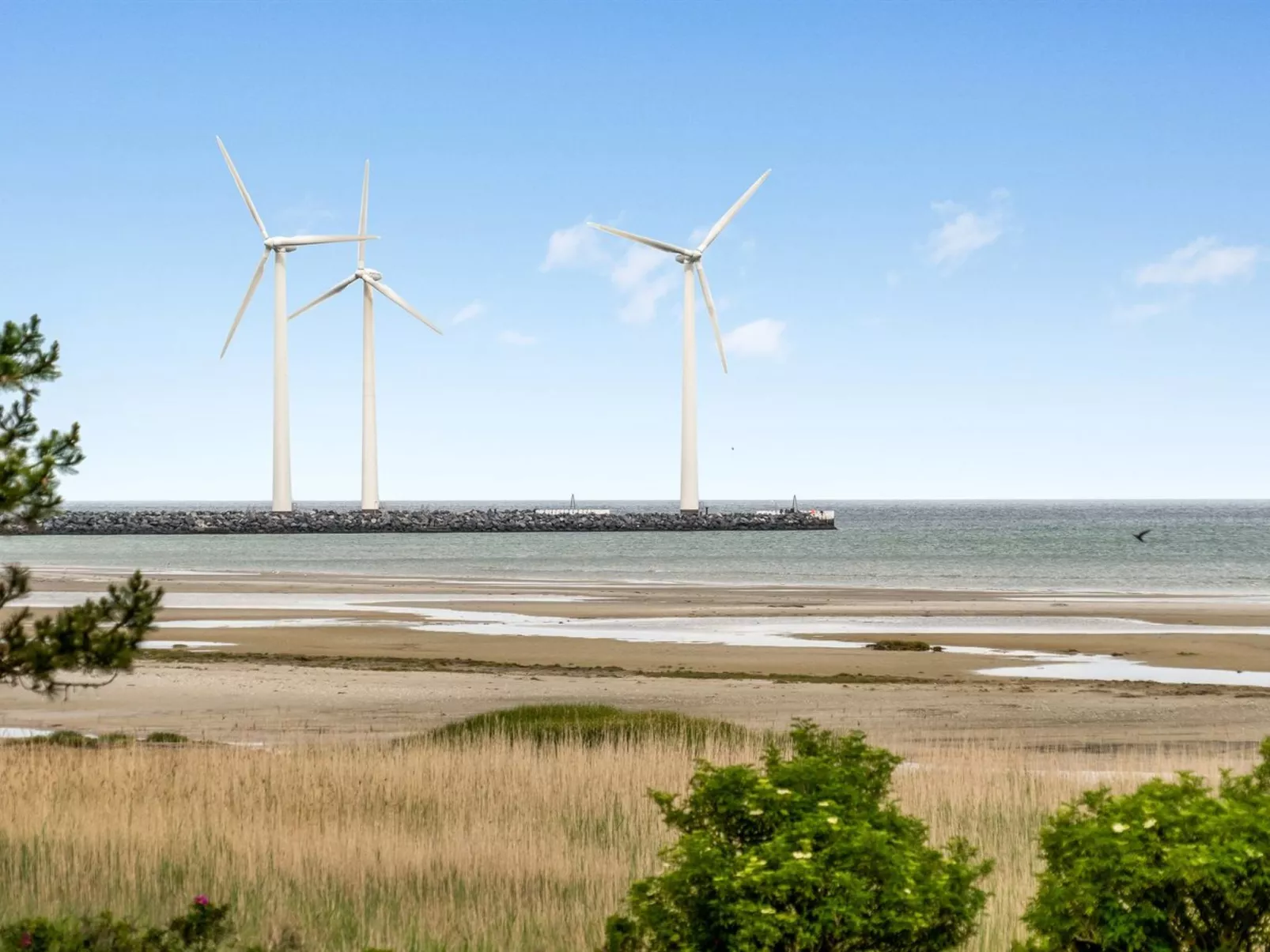 "Elpida" - 100m from the sea-Dehors