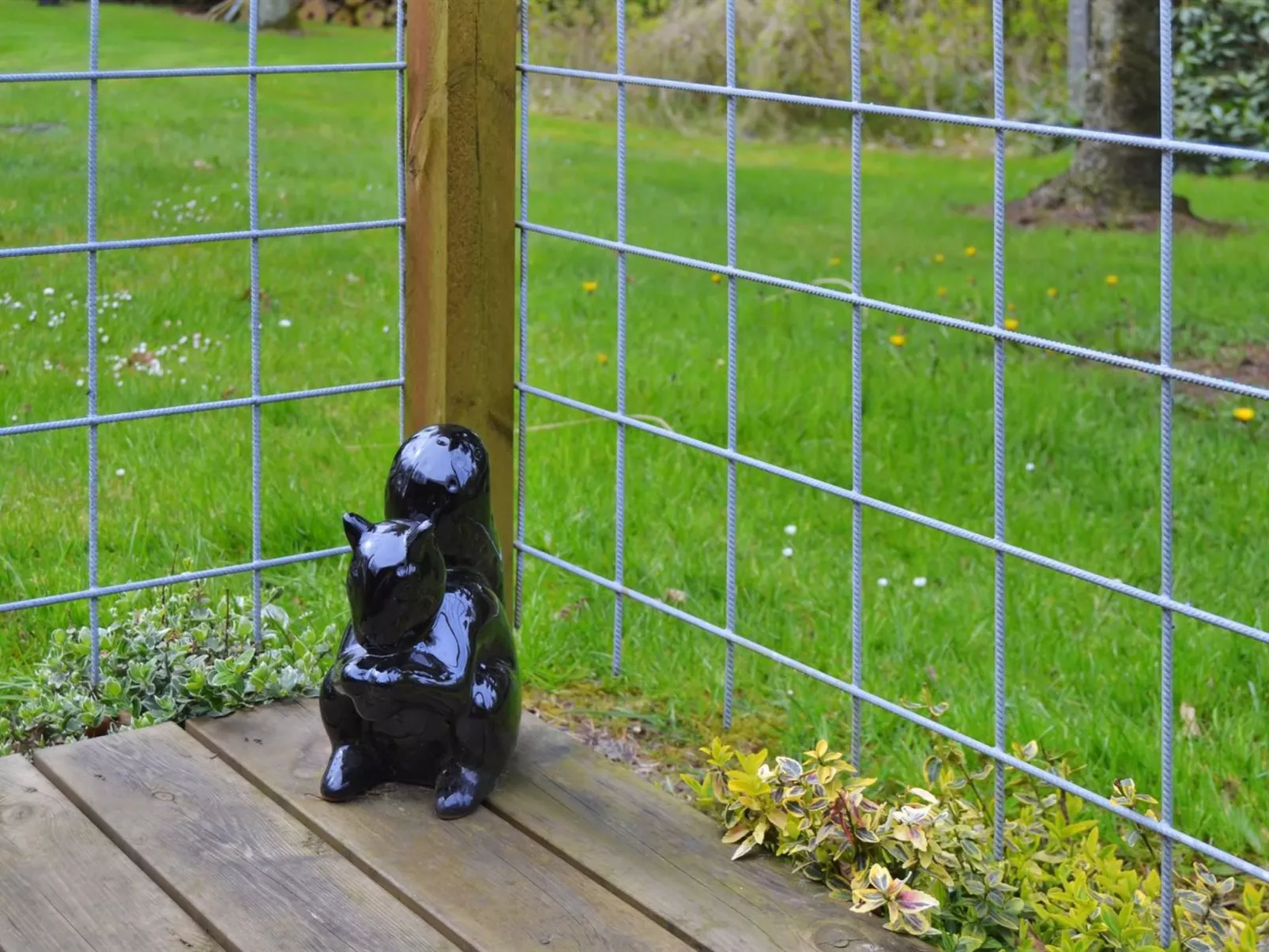 "Elisabeta" - 28km from the sea-Inside