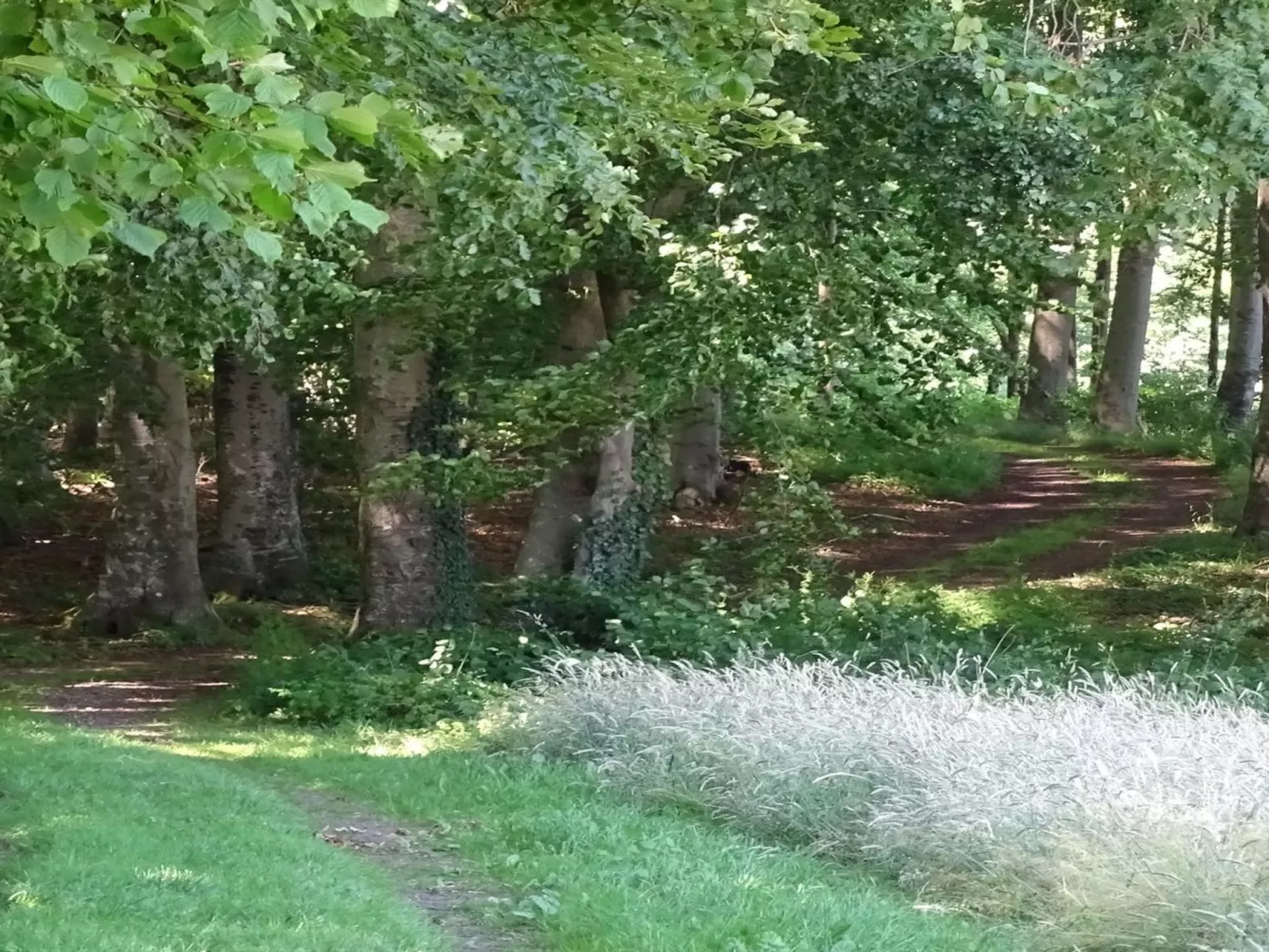 "Veselin" - 100m from the sea-Draußen