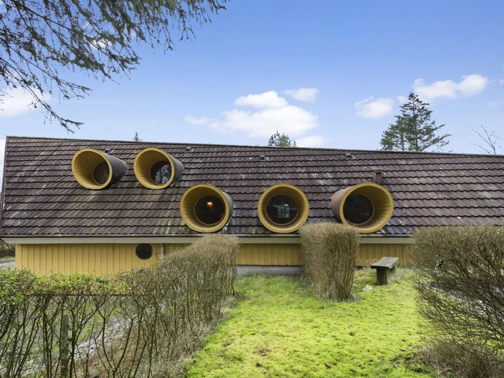 "Tally" - 800m to the fjord-Outside