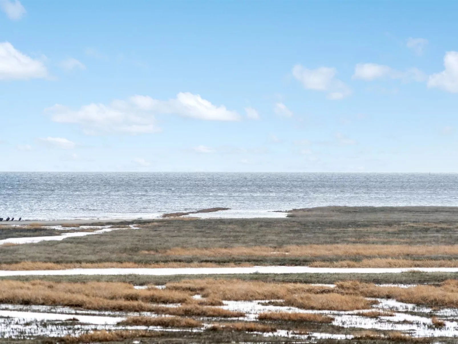 "Langsom" - 100m from the sea-Dehors