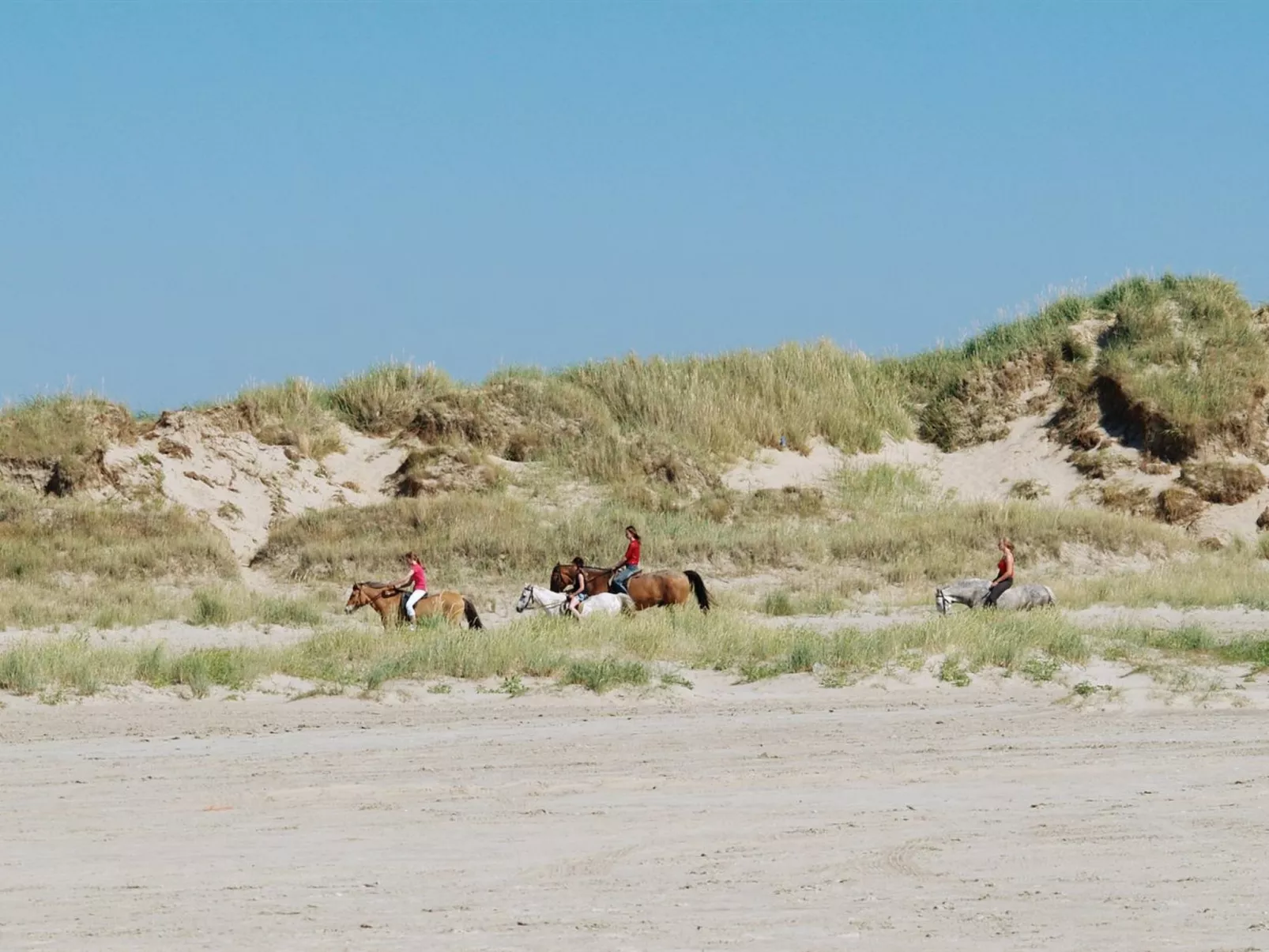 "Paula" - 2.3km from the sea - Outside