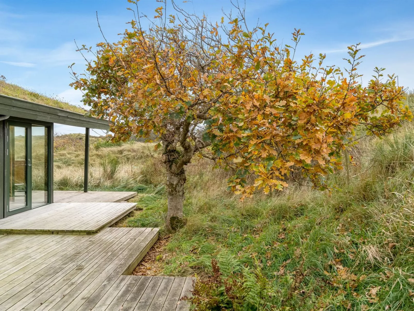 "Hunved" - 500m from the sea-Draußen