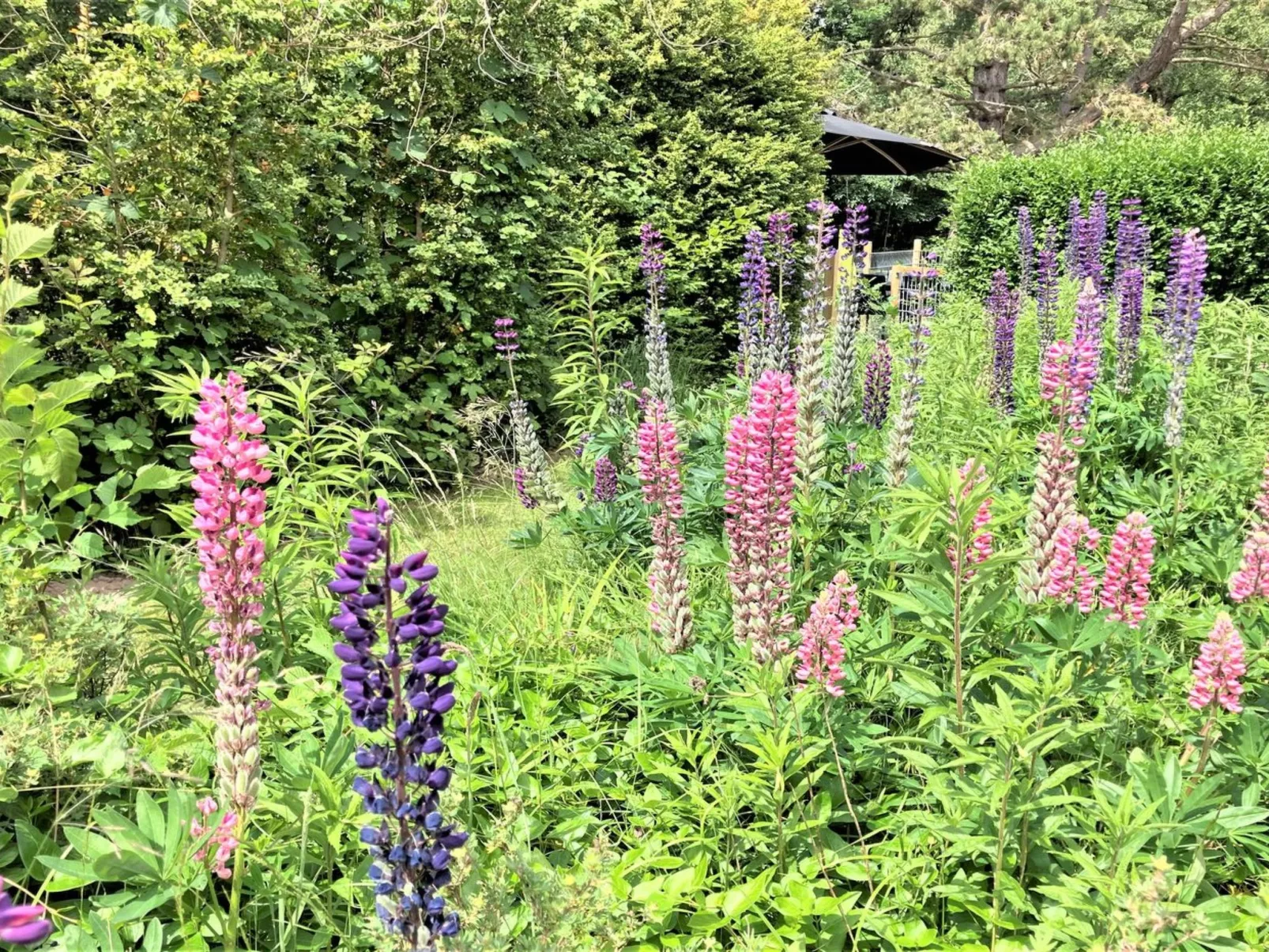 "Thrugels" - 200m from the sea-Outside