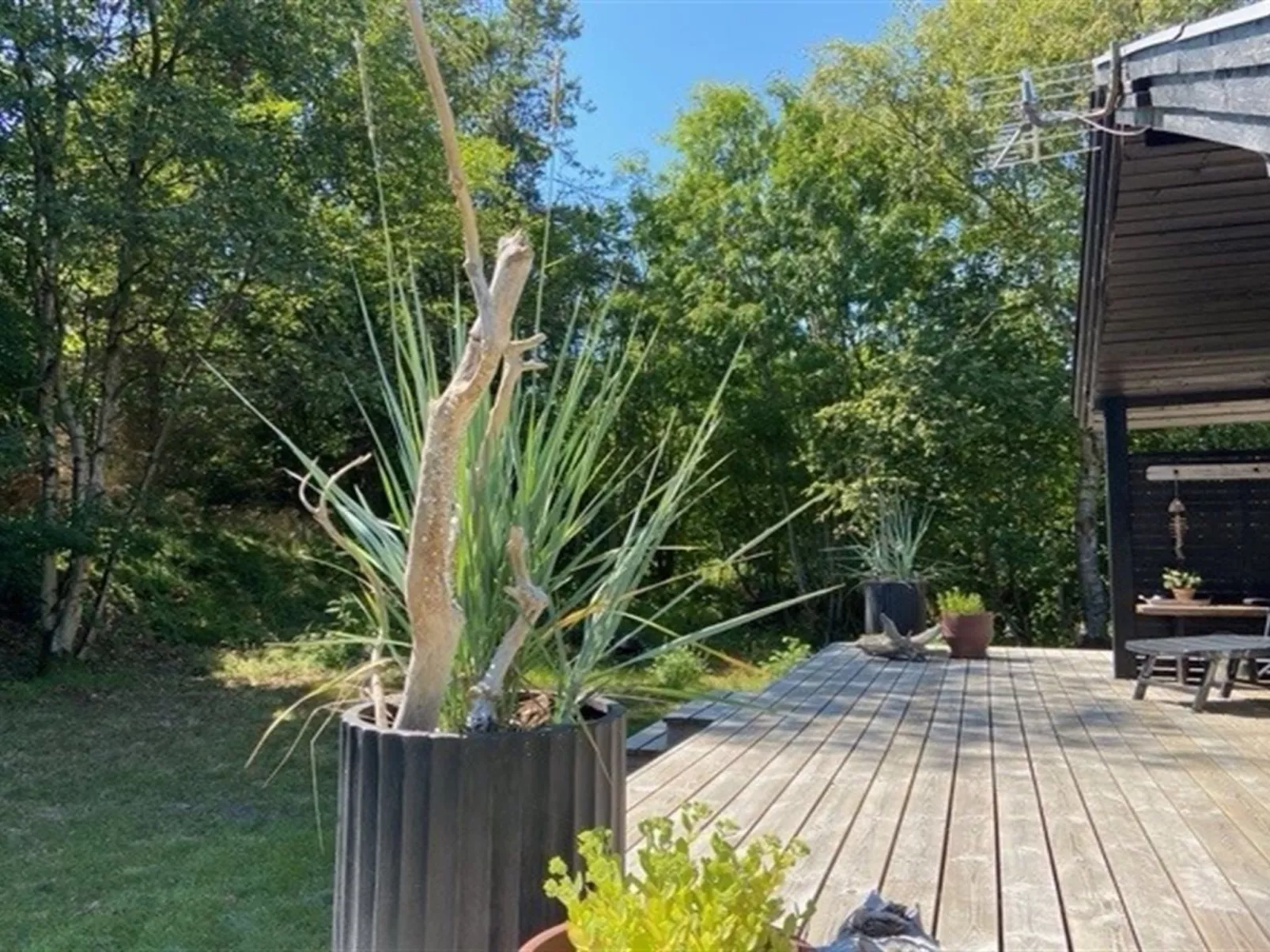 "Imma" -  from the sea-Outside