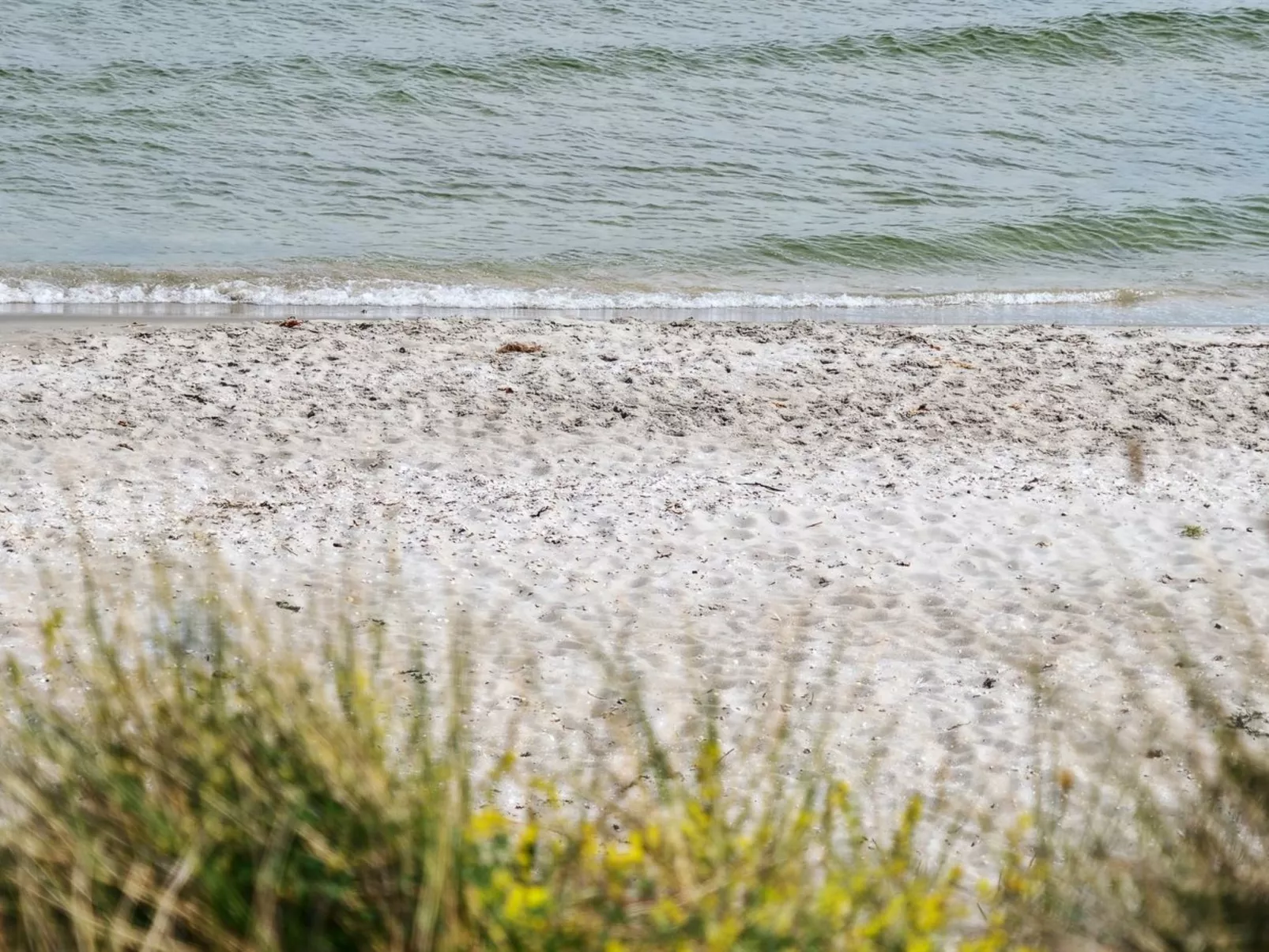 "Jerrit" - 225m from the sea-Dehors