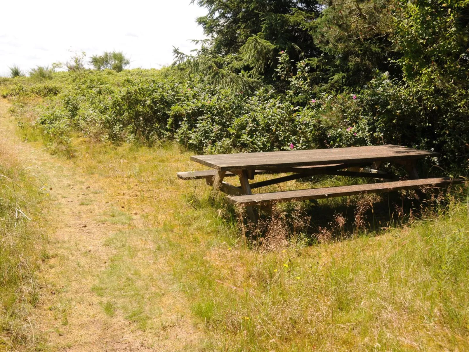 "Kalv" - 75m from the sea-Outside