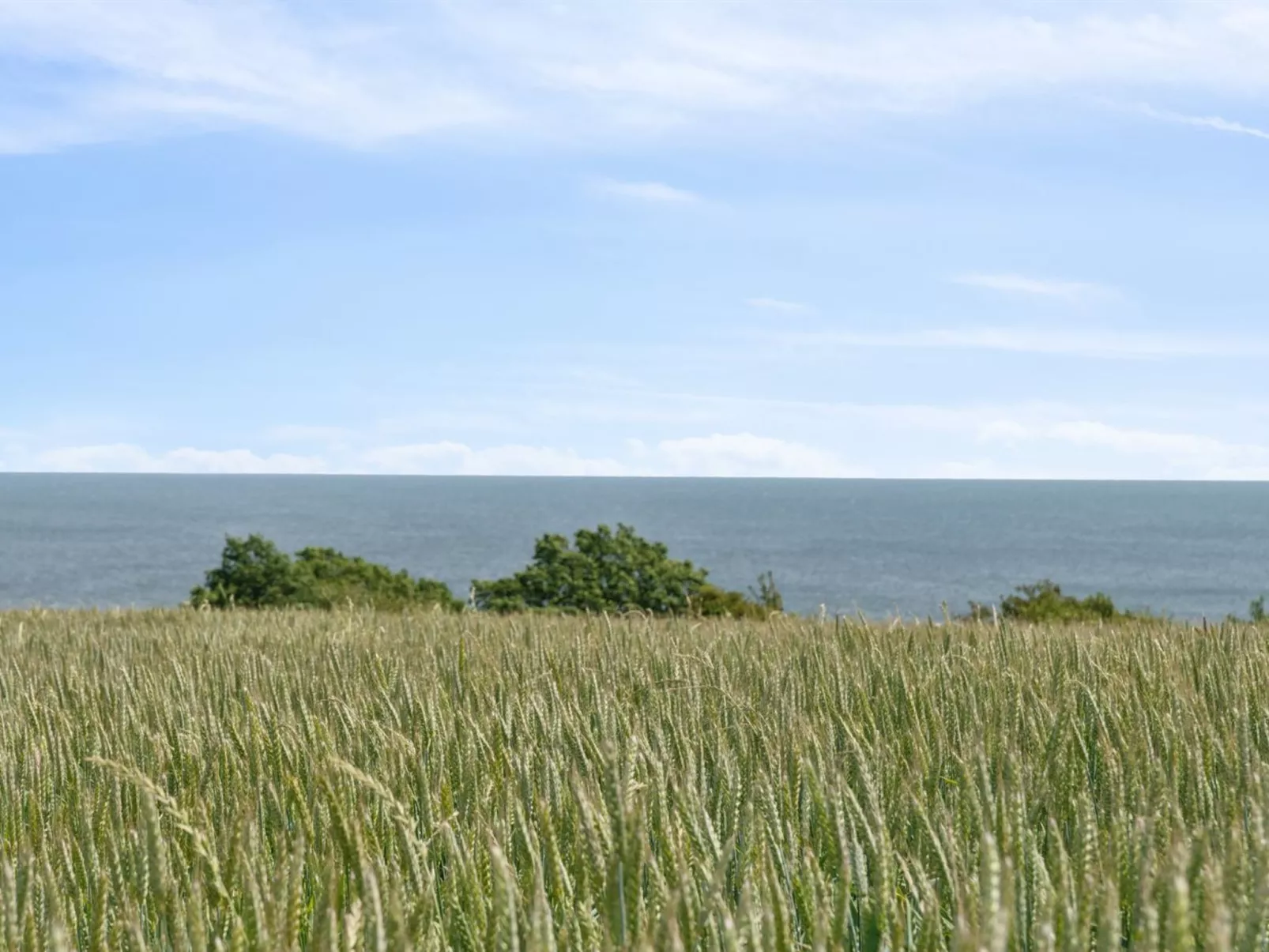 "Gunhilde" - 400m from the sea - Outside