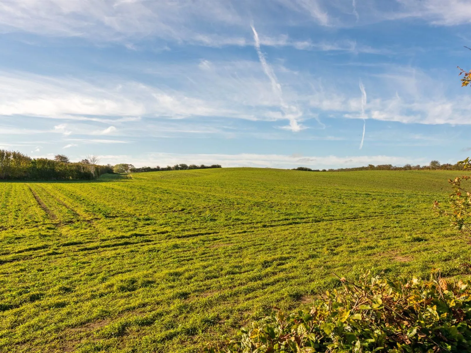 "Nica" - 100m from the sea-Dehors