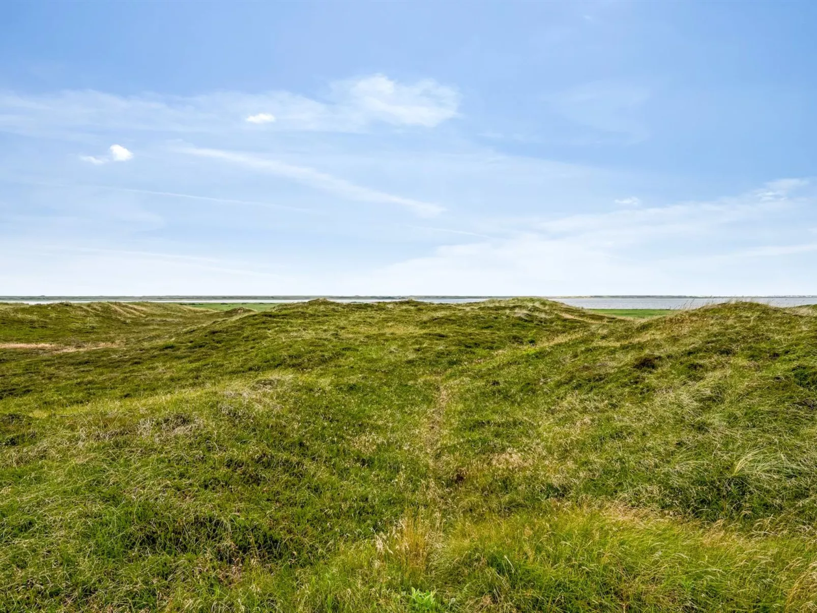 "Leona" - 250m to the fjord-Outside