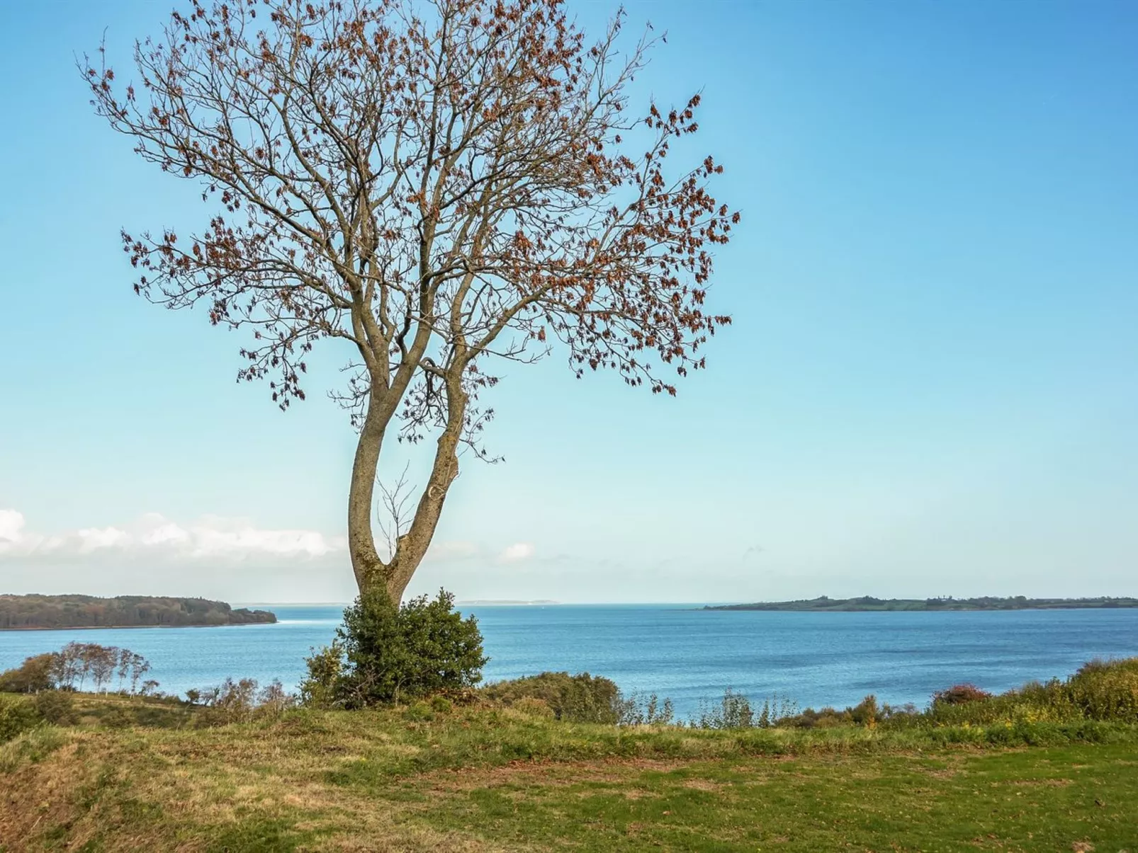 "Boris" - 500m from the sea-Draußen