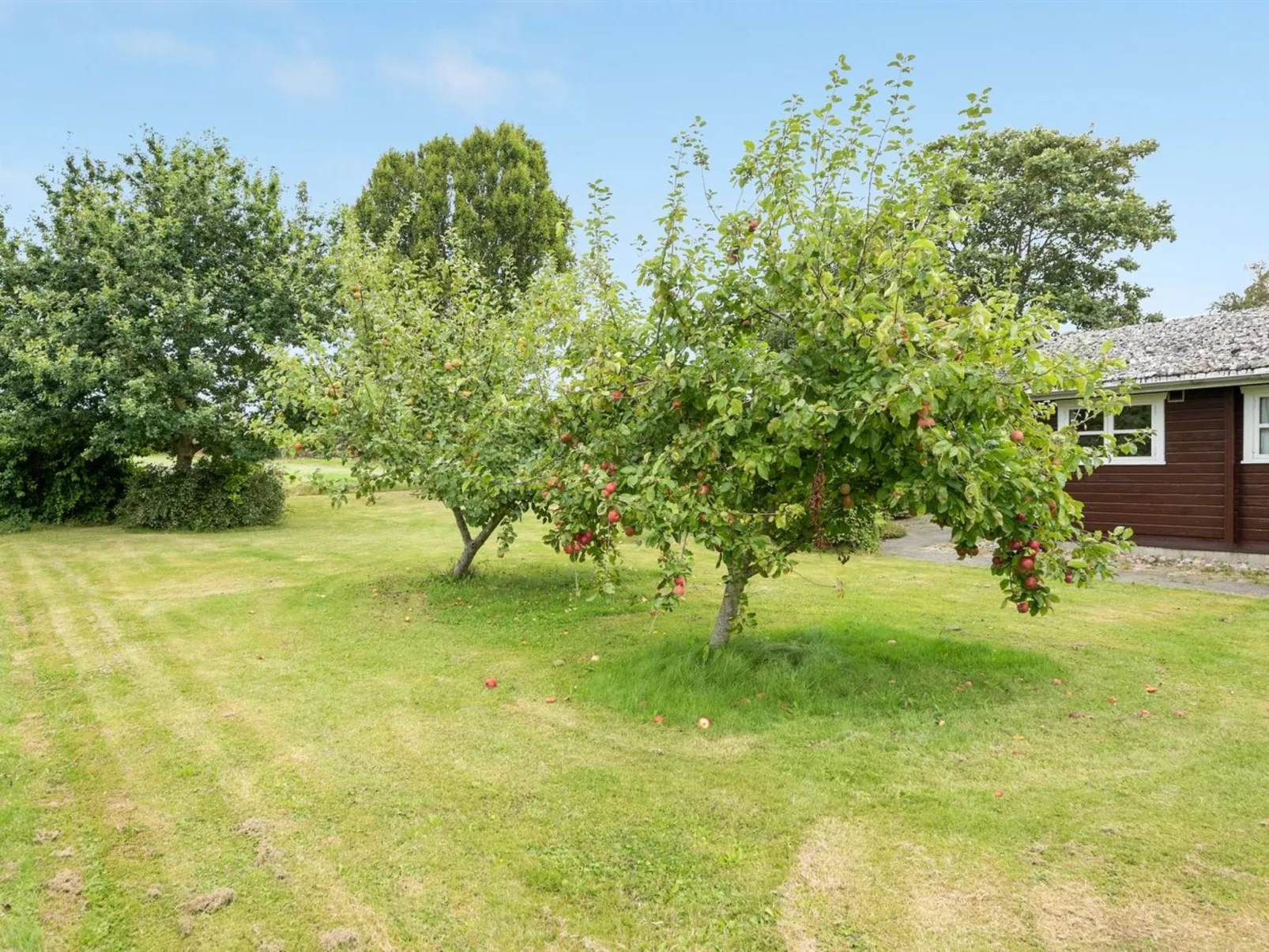 "Gudmunde" - 200m from the sea-Dehors