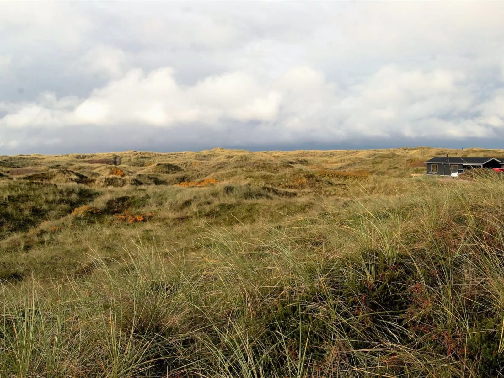 "Auli" - 200m from the sea-Outside