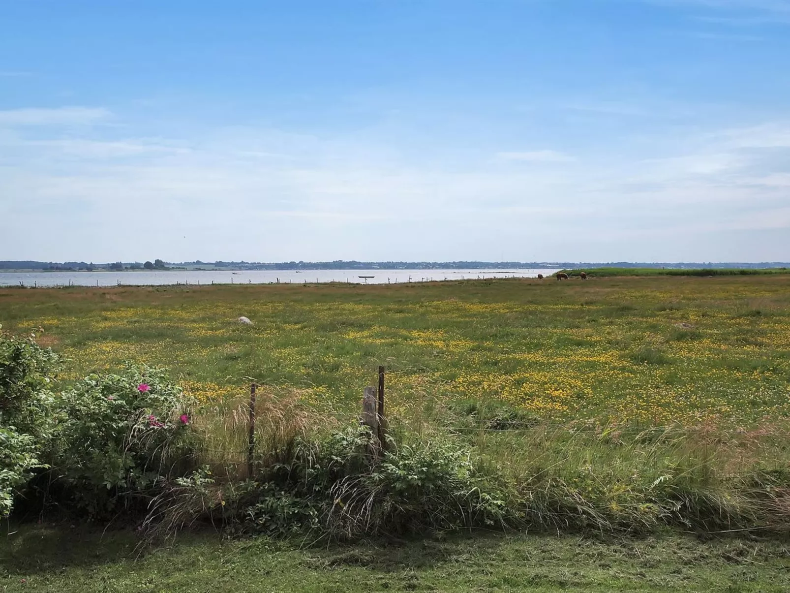 "Jeip" - 400m to the fjord-Dehors