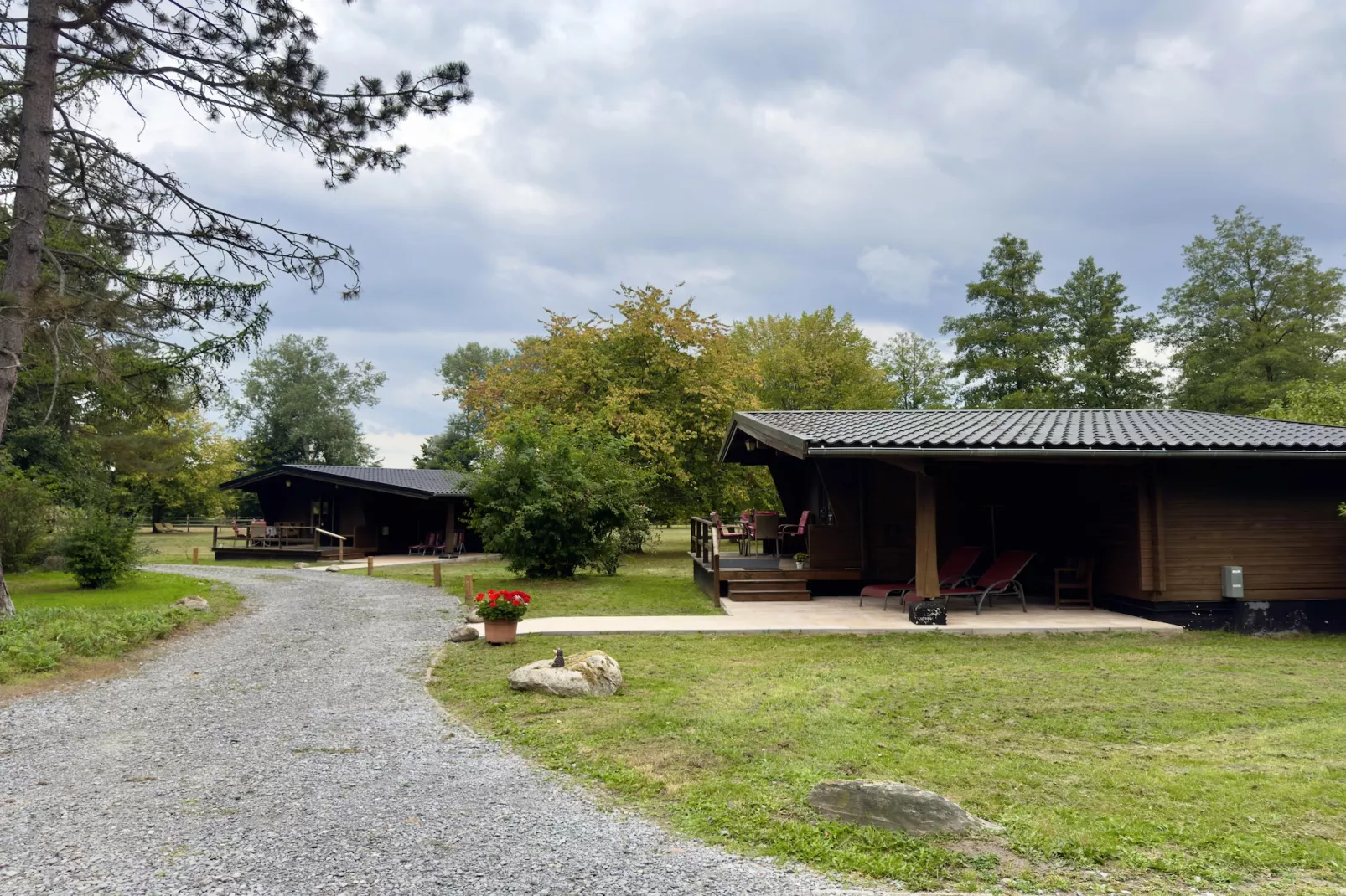 Lüneburger Heide-View in summer