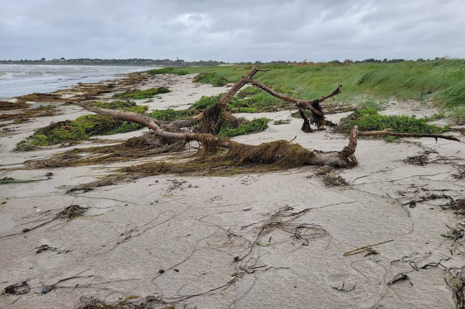 6 person holiday home in Slagelse-Water view