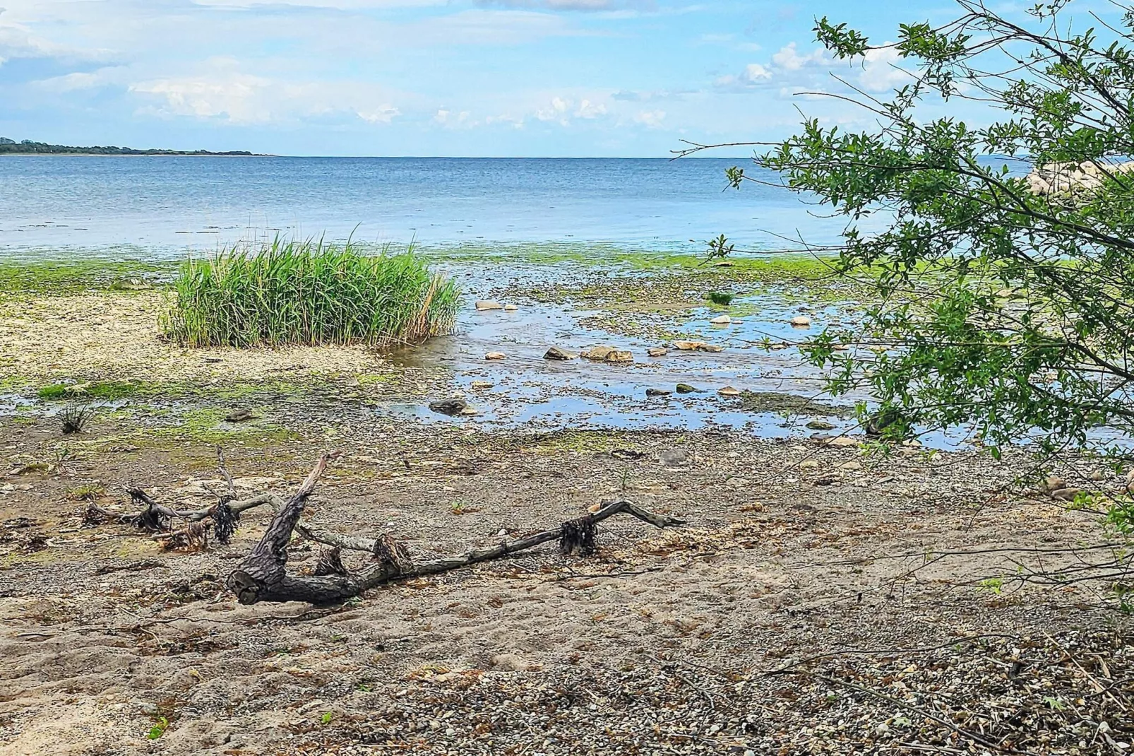 Maison de vacances pour 6 a Aabenraa-By Traum-Vue sur l'eau