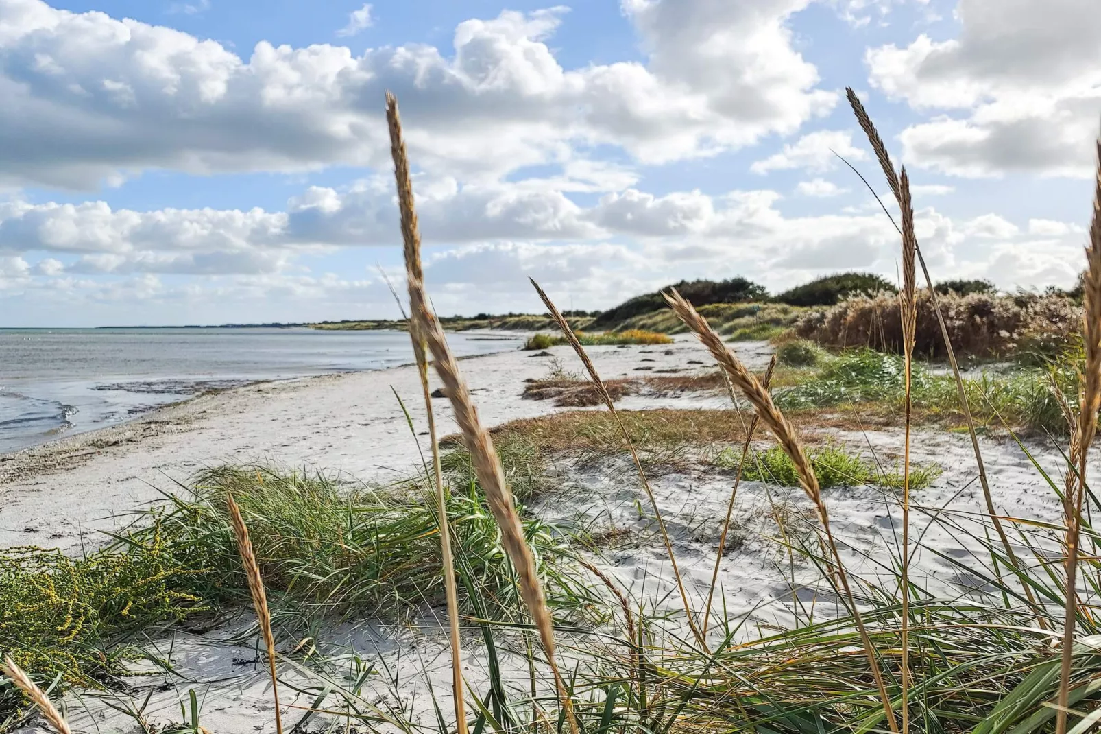 Maison de vacances pour 6 a Hadsund-By Traum-Vue sur l'eau