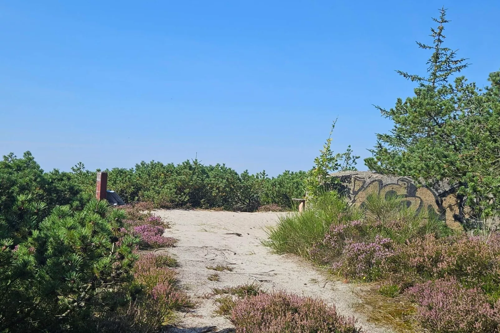 6 person holiday home in Henne-Untagged