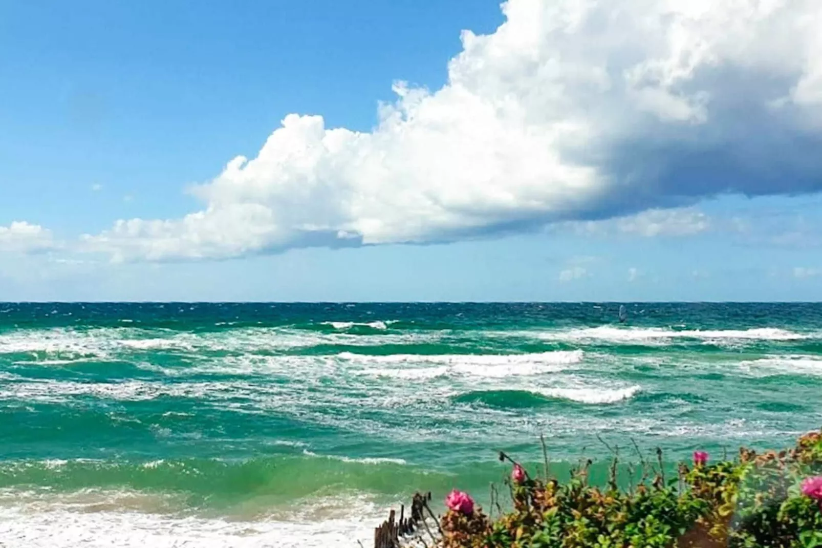 6 Personen Ferienhaus in Græsted-By Traum-Wasserblick