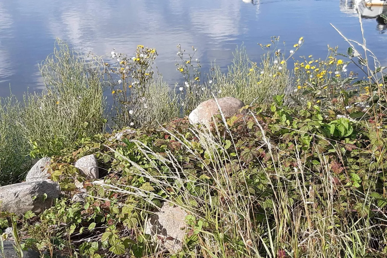 4 etoiles maison de vacances a GOTLANDS TOFTA-Vue sur l'eau