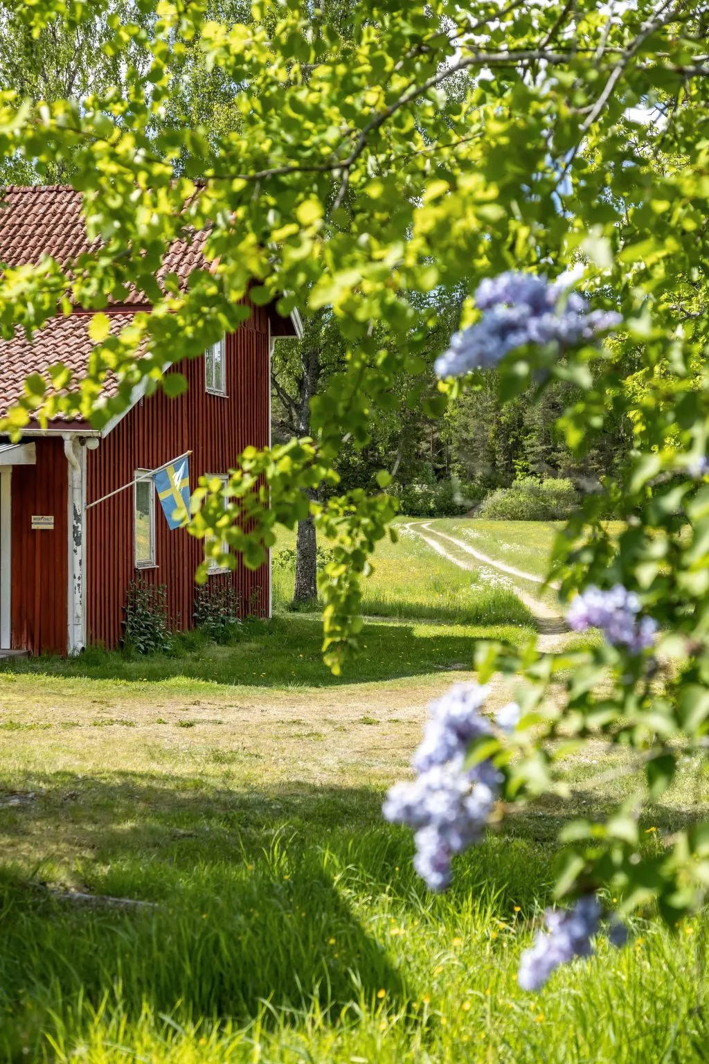 Vassviken-Outside