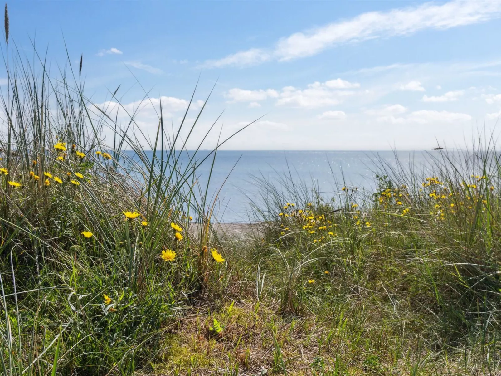 "Rother" - 50m from the sea-Outside